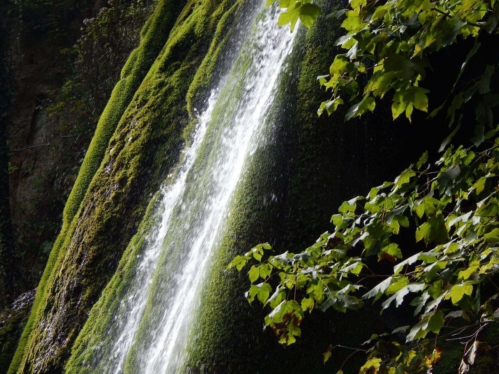 Nikon Coolpix L820 sample photo. Green, waterfall photography