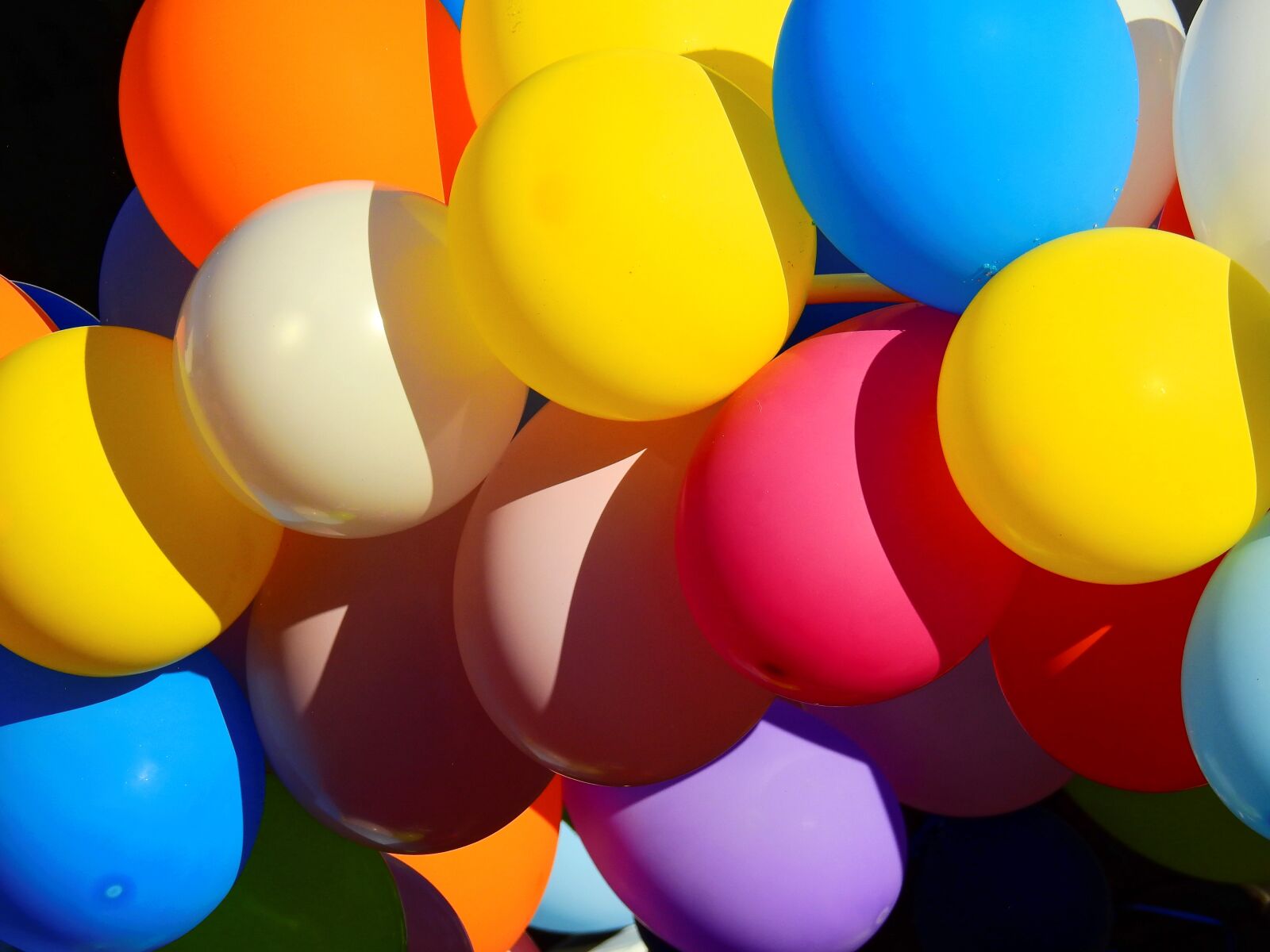 Nikon Coolpix P900 sample photo. Balloon, party, carnival photography