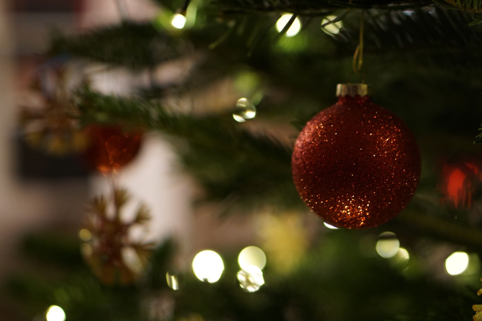 E 50mm F1.8 OSS sample photo. Angel, christmas, x mas photography