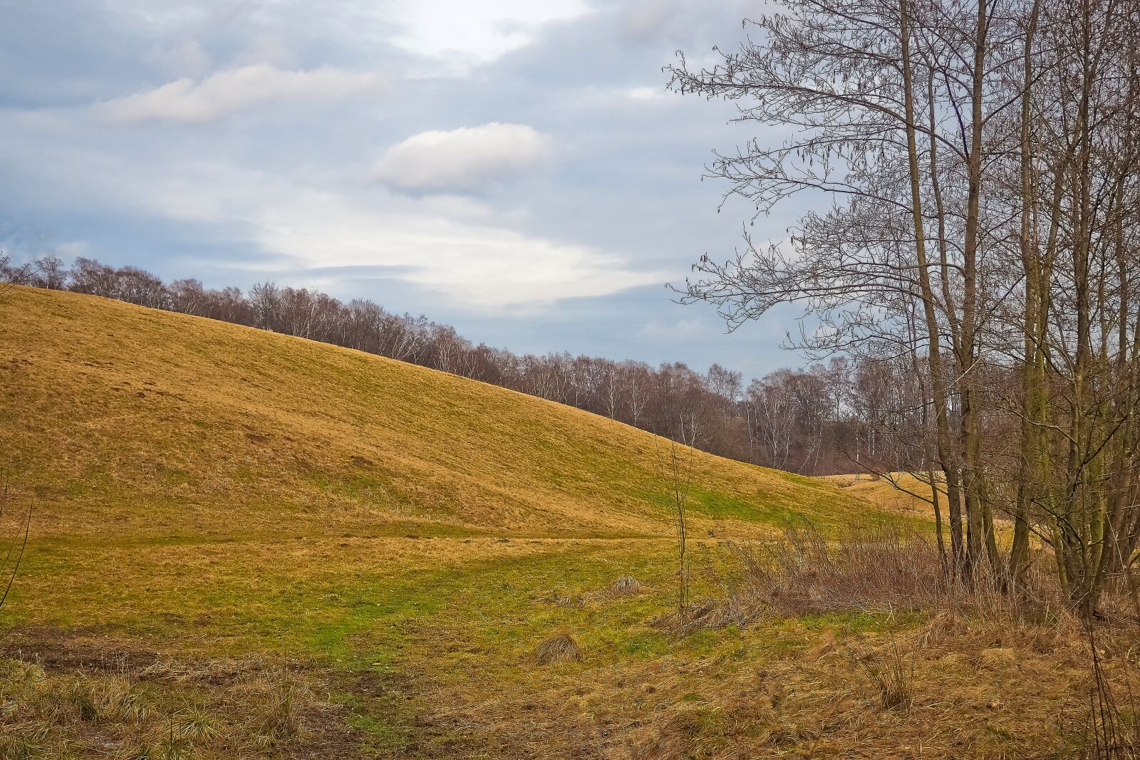 Olympus OM-D E-M10 sample photo. Landscape, nature, meadow photography
