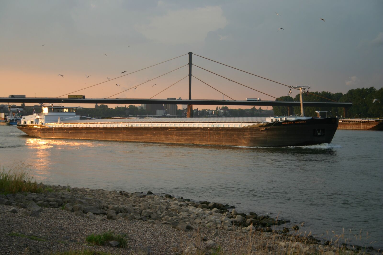 Canon EOS 300D (EOS Digital Rebel / EOS Kiss Digital) sample photo. Twilight, rhine, river photography
