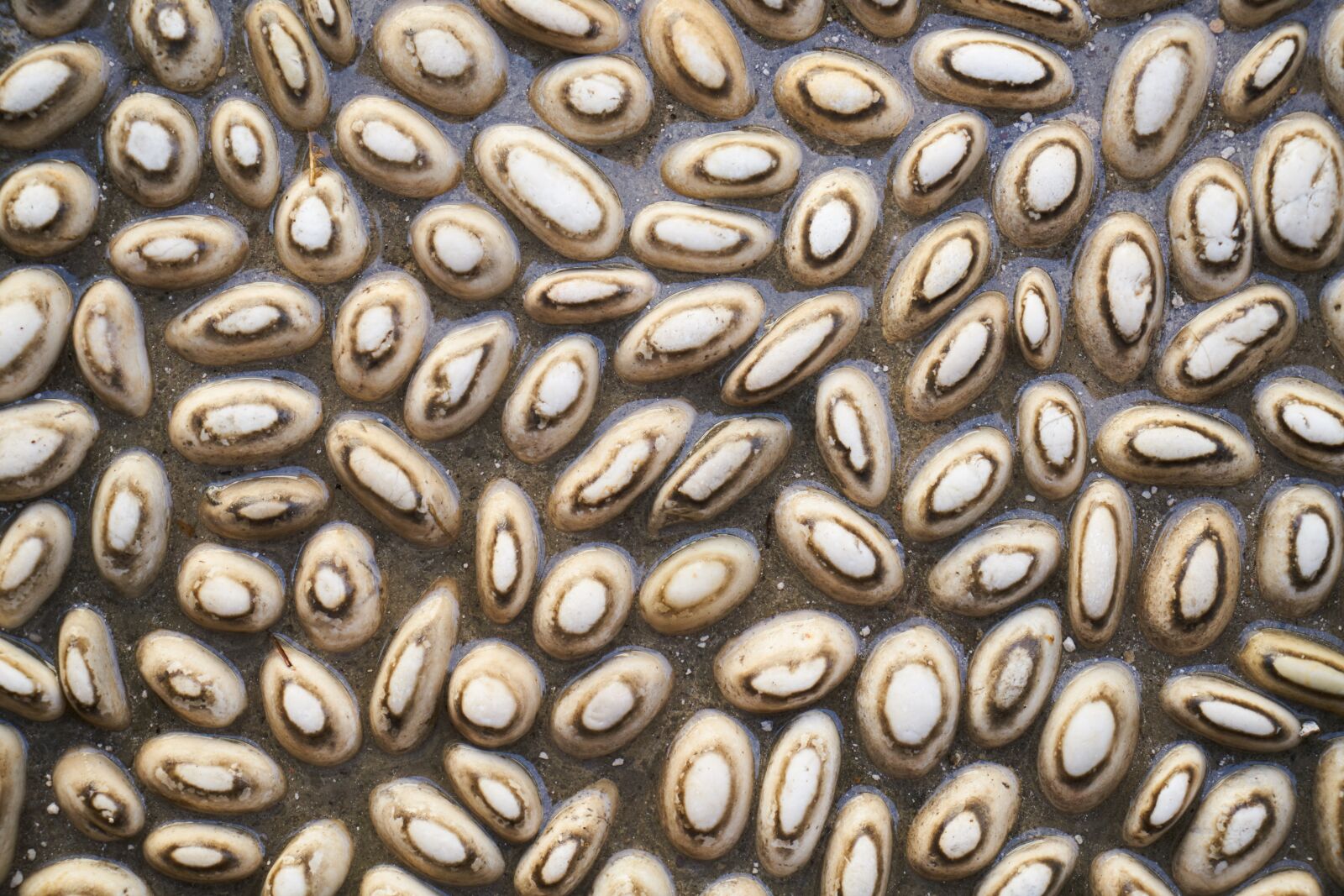 Sony a7R II sample photo. Stone, gravel, texture photography