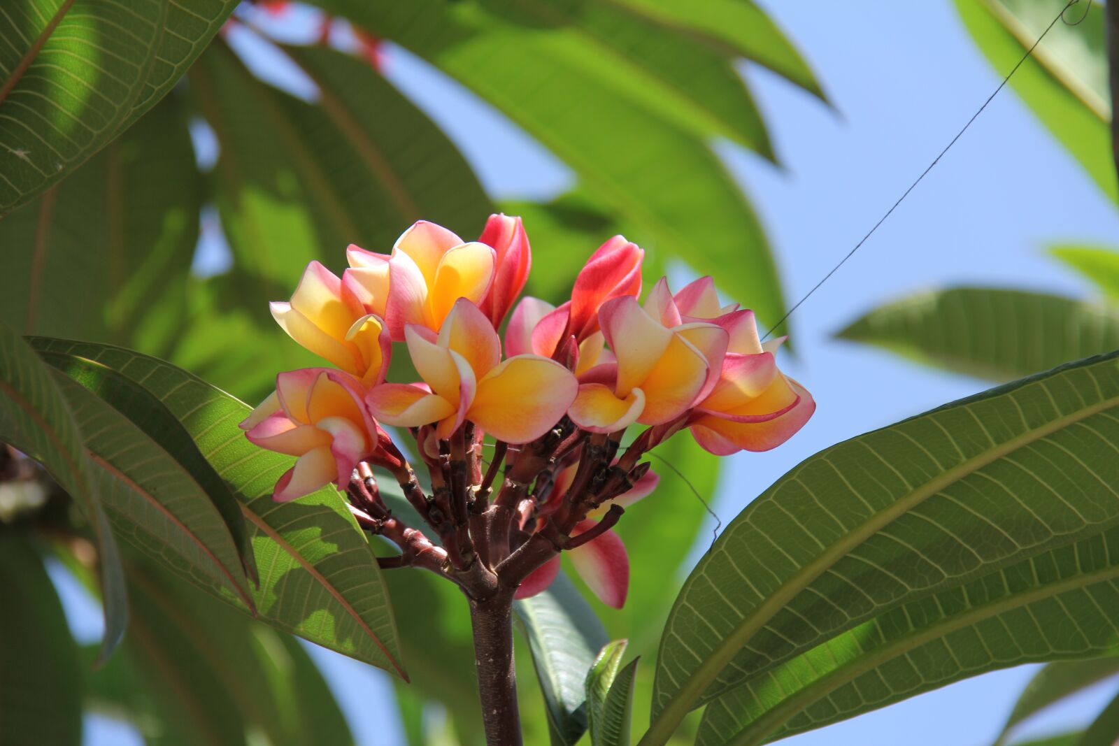 Canon EOS 60D sample photo. Taungyi, myanmar, burma photography