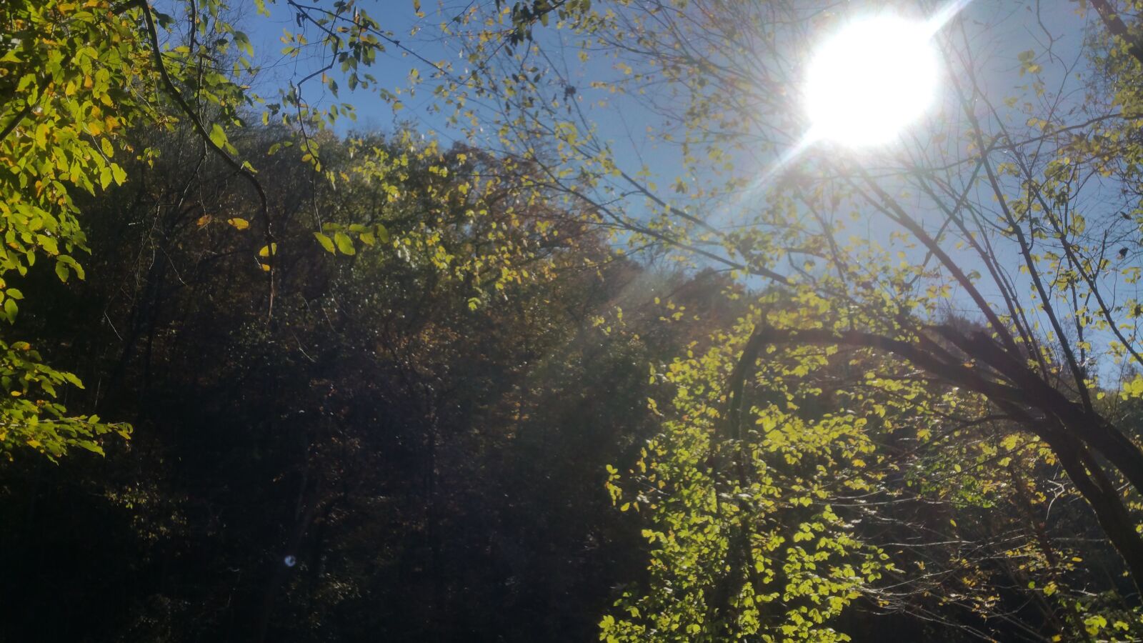 Samsung Galaxy Note4 sample photo. Nature, sun, sky photography