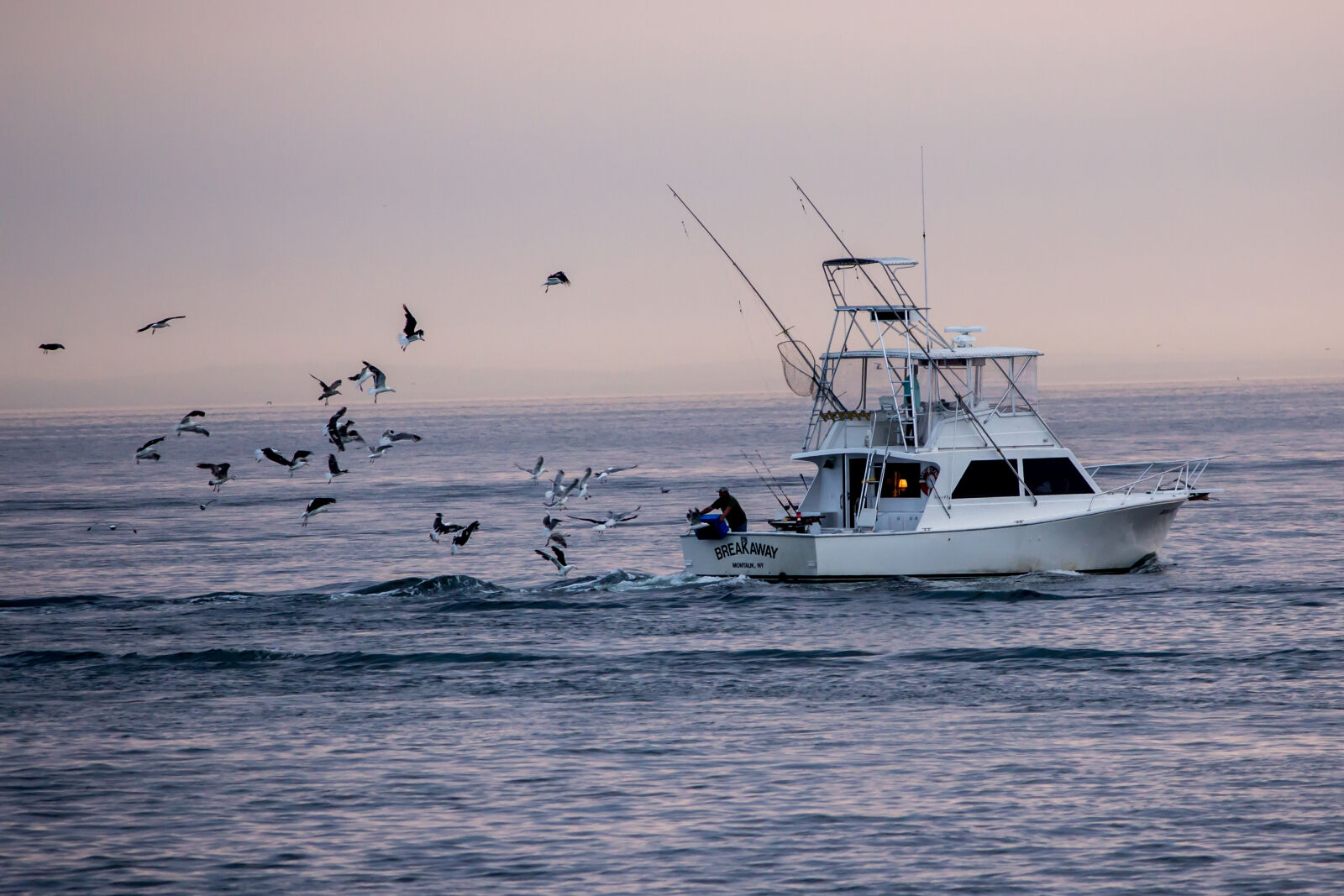 Canon EOS 600D (Rebel EOS T3i / EOS Kiss X5) sample photo. Boat, sunrise photography