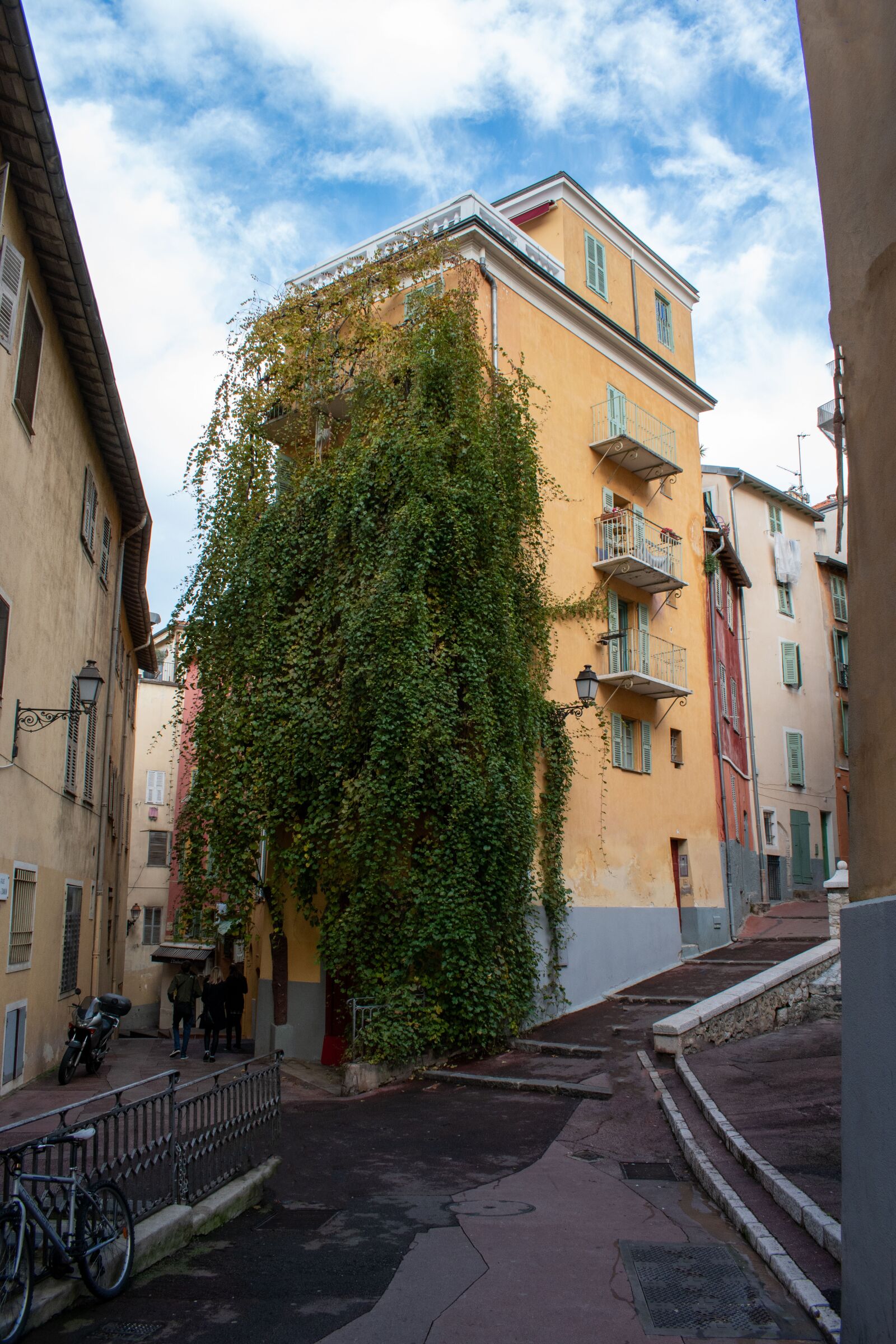 Nikon D5600 sample photo. Street, nice, houses photography