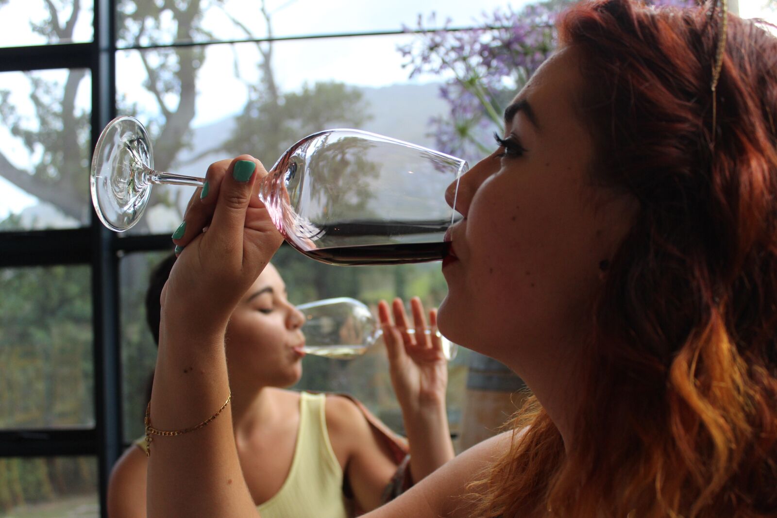 Canon EOS 600D (Rebel EOS T3i / EOS Kiss X5) sample photo. Wine, drinking, lady photography