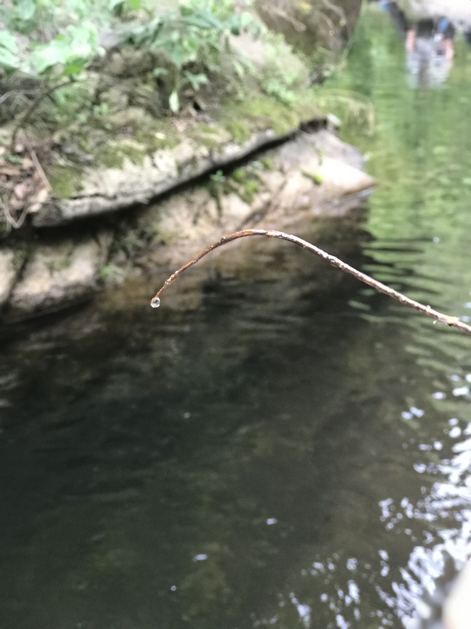 Apple iPhone 7 Plus sample photo. Small river, running water photography