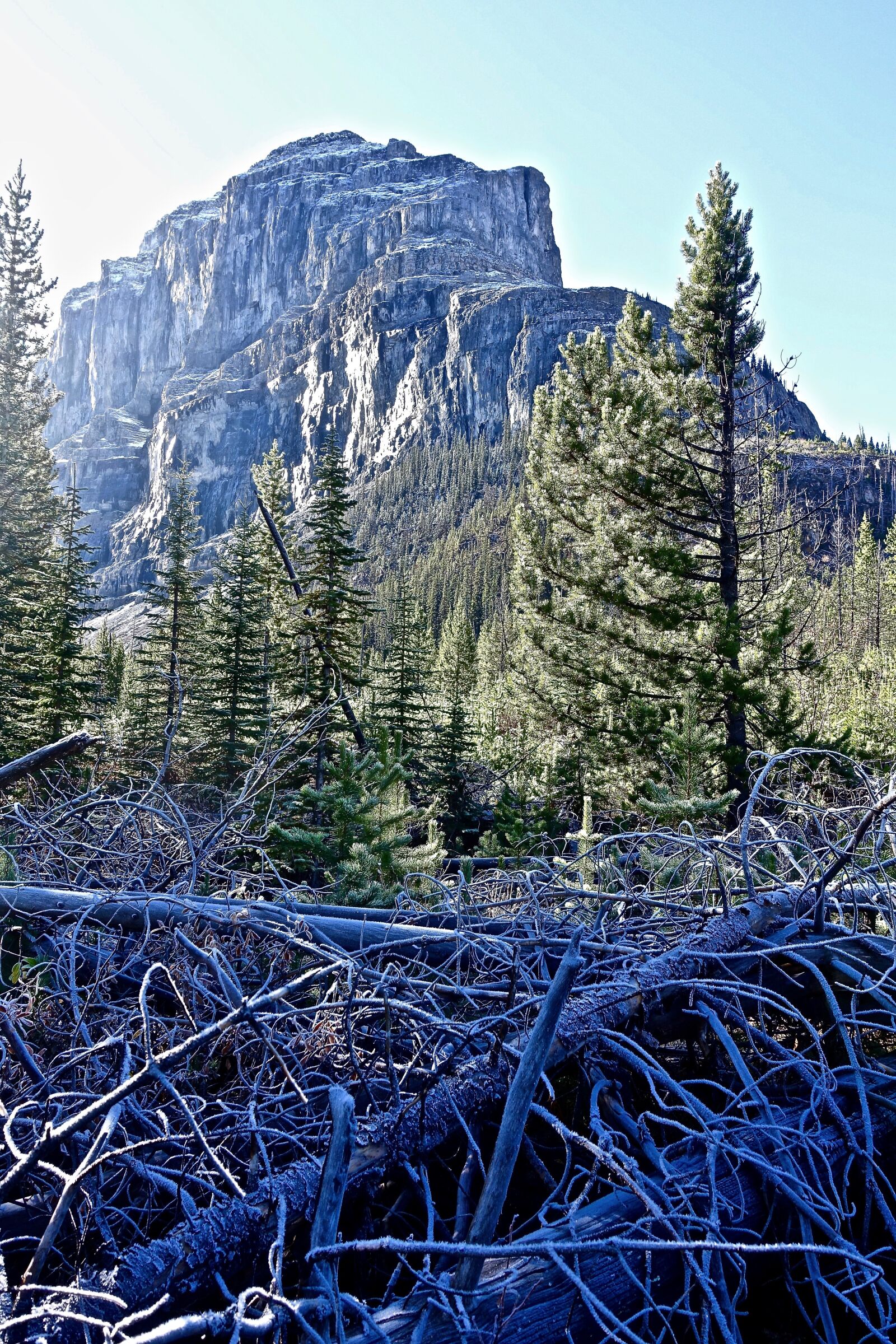 Sony Cyber-shot DSC-RX100 III sample photo. Nature, wilderness, peak photography