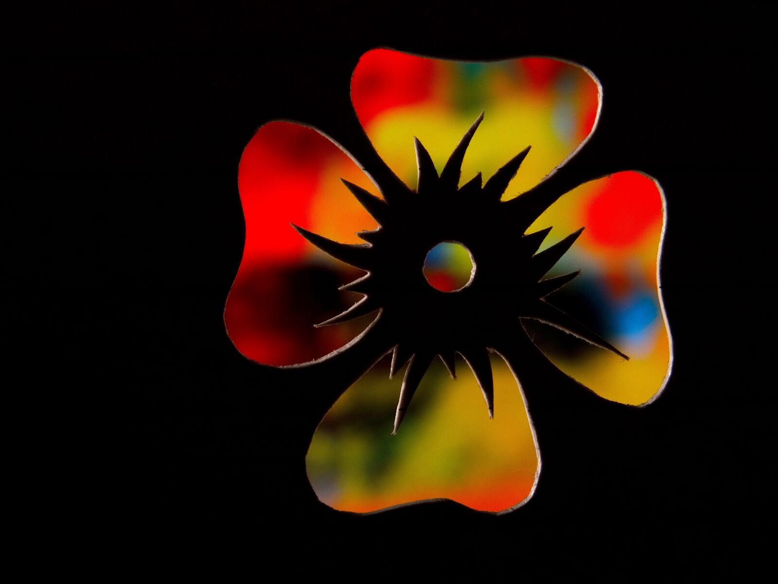 Sony Cyber-shot DSC-HX300 sample photo. Flower, contour, outlines photography