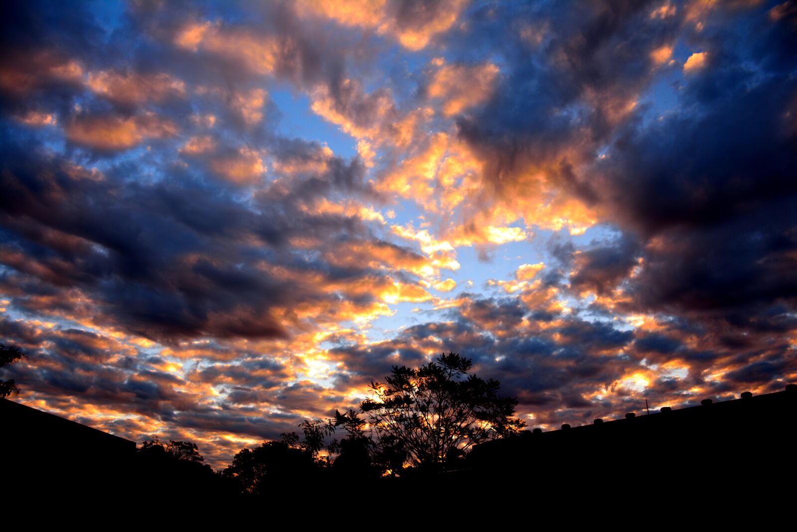 Nikon D7100 sample photo. Healing, glow, dreamlike photography