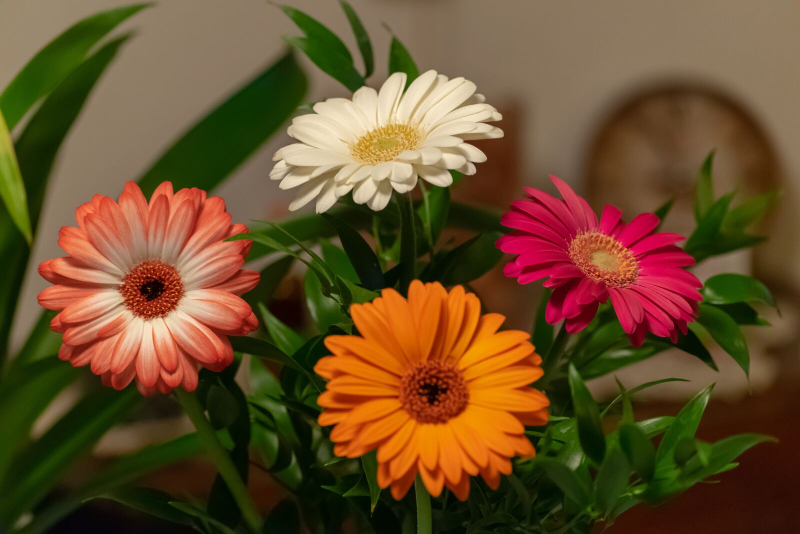 Nikon D3300 sample photo. Yellow, sun, sunflower photography