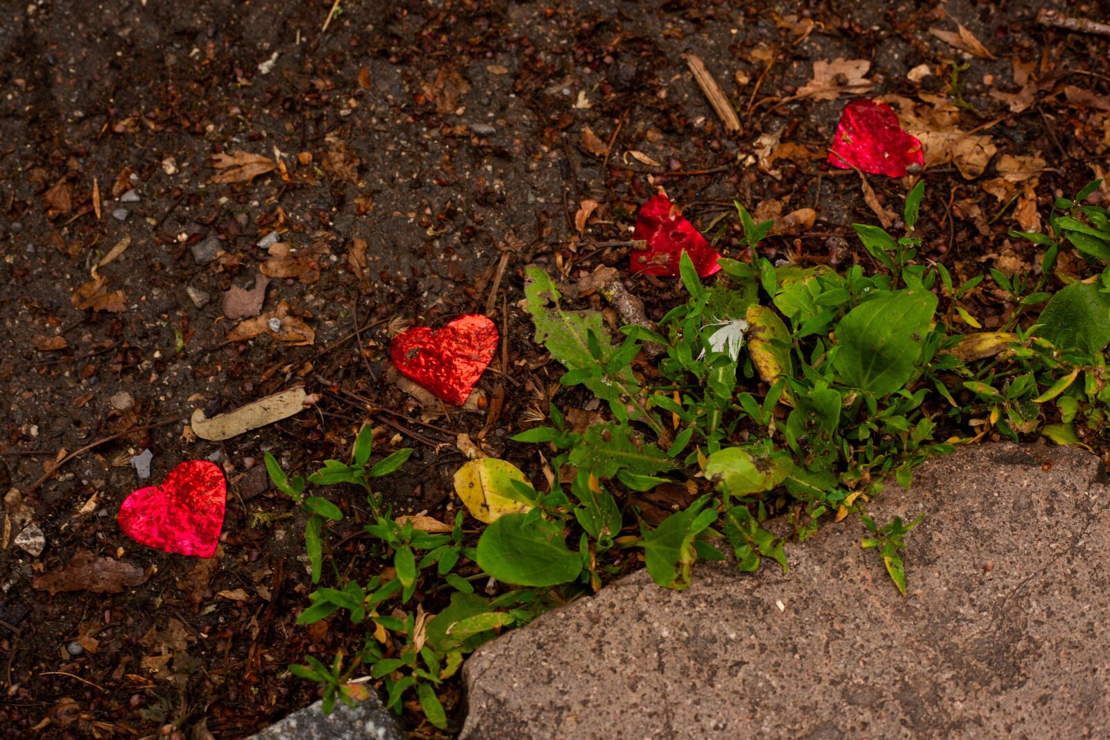 Canon EF 50mm F1.8 II sample photo. Plastic confetti, confetti, plastic photography