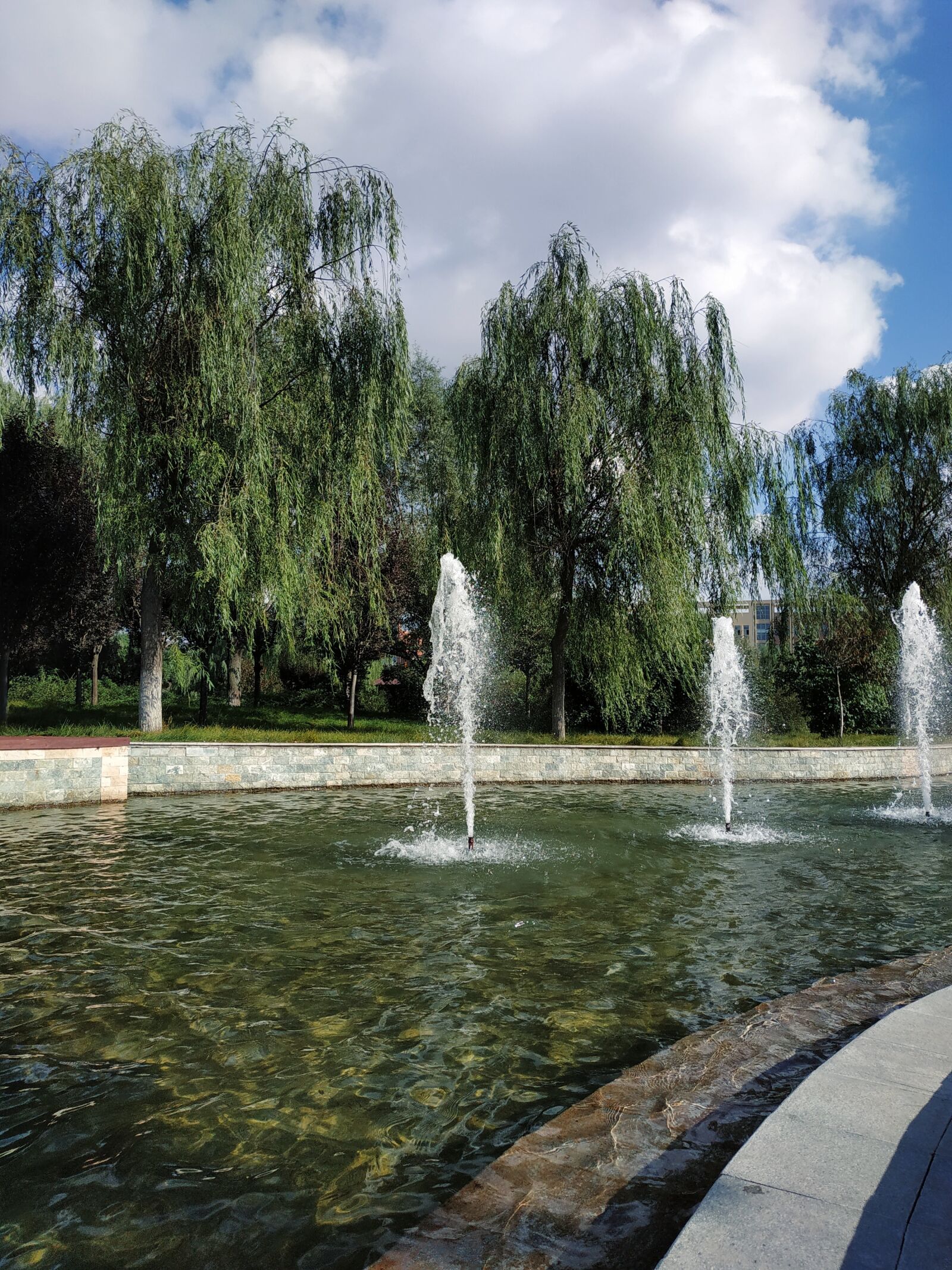 Xiaomi Redmi Note 5 sample photo. Fountain, tree, blue sky photography