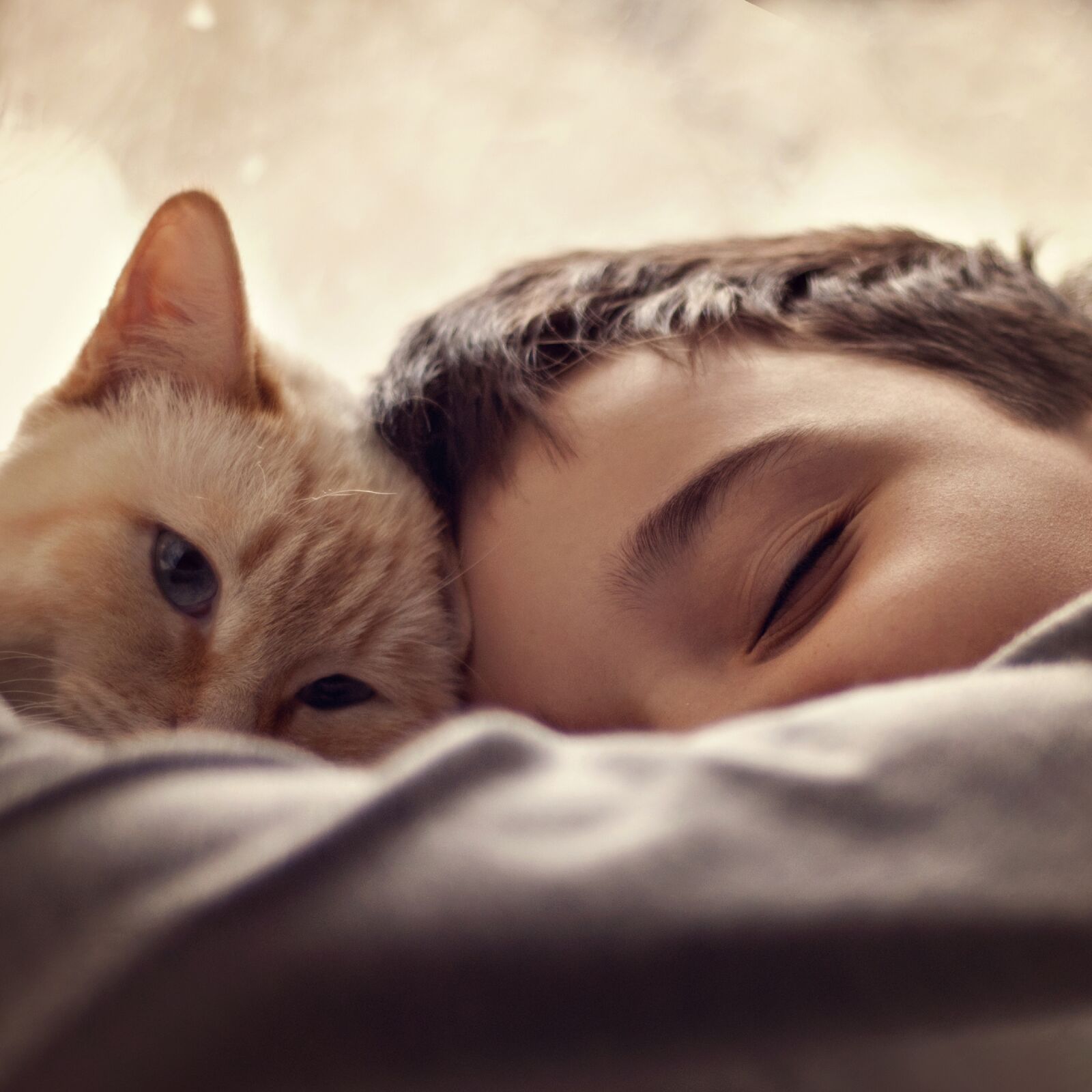 Nikon D3000 sample photo. Cat, baby, son photography