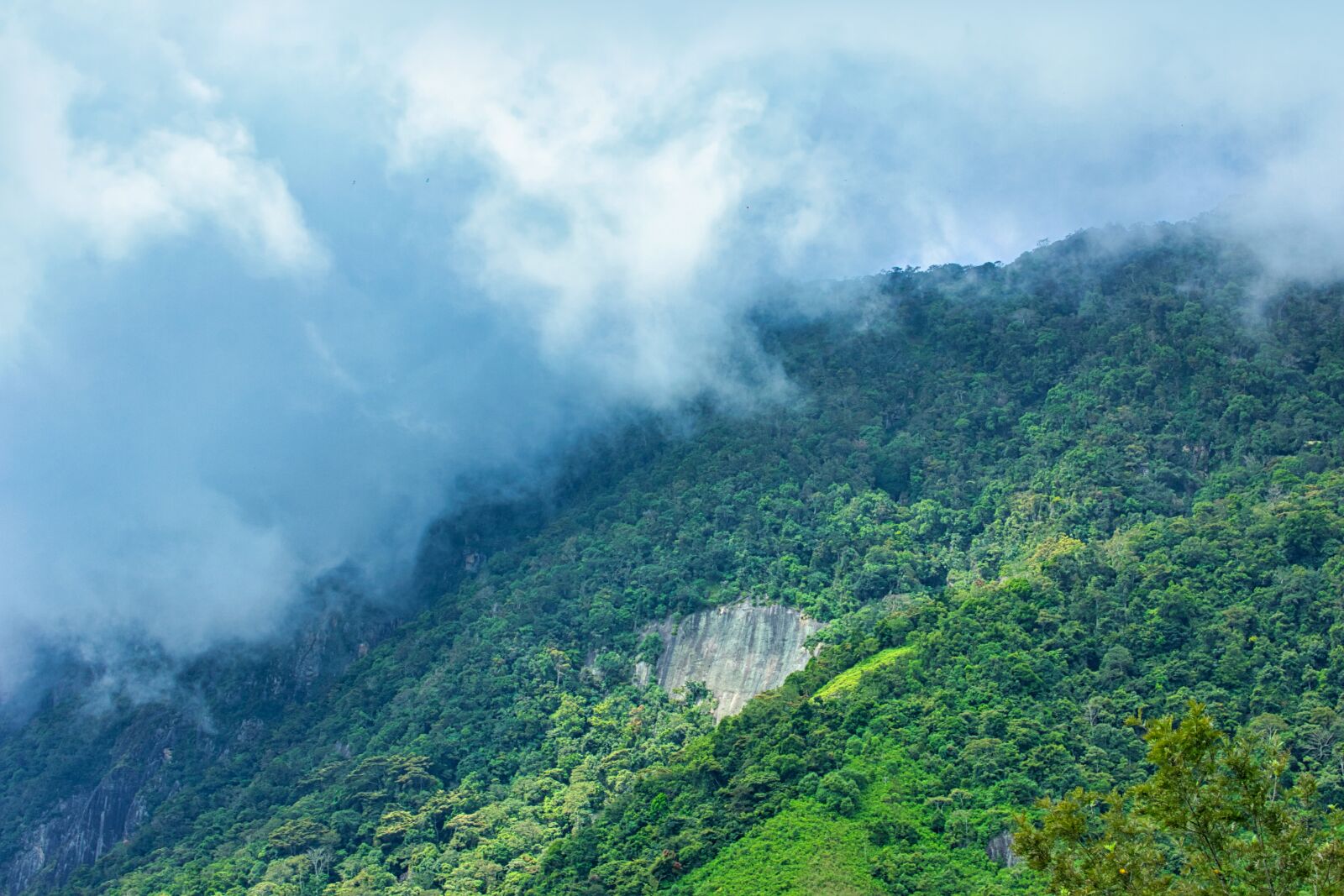 Canon EOS 60D + Canon EF-S 18-55mm F3.5-5.6 IS STM sample photo. Devil's staircase, sri lanka photography