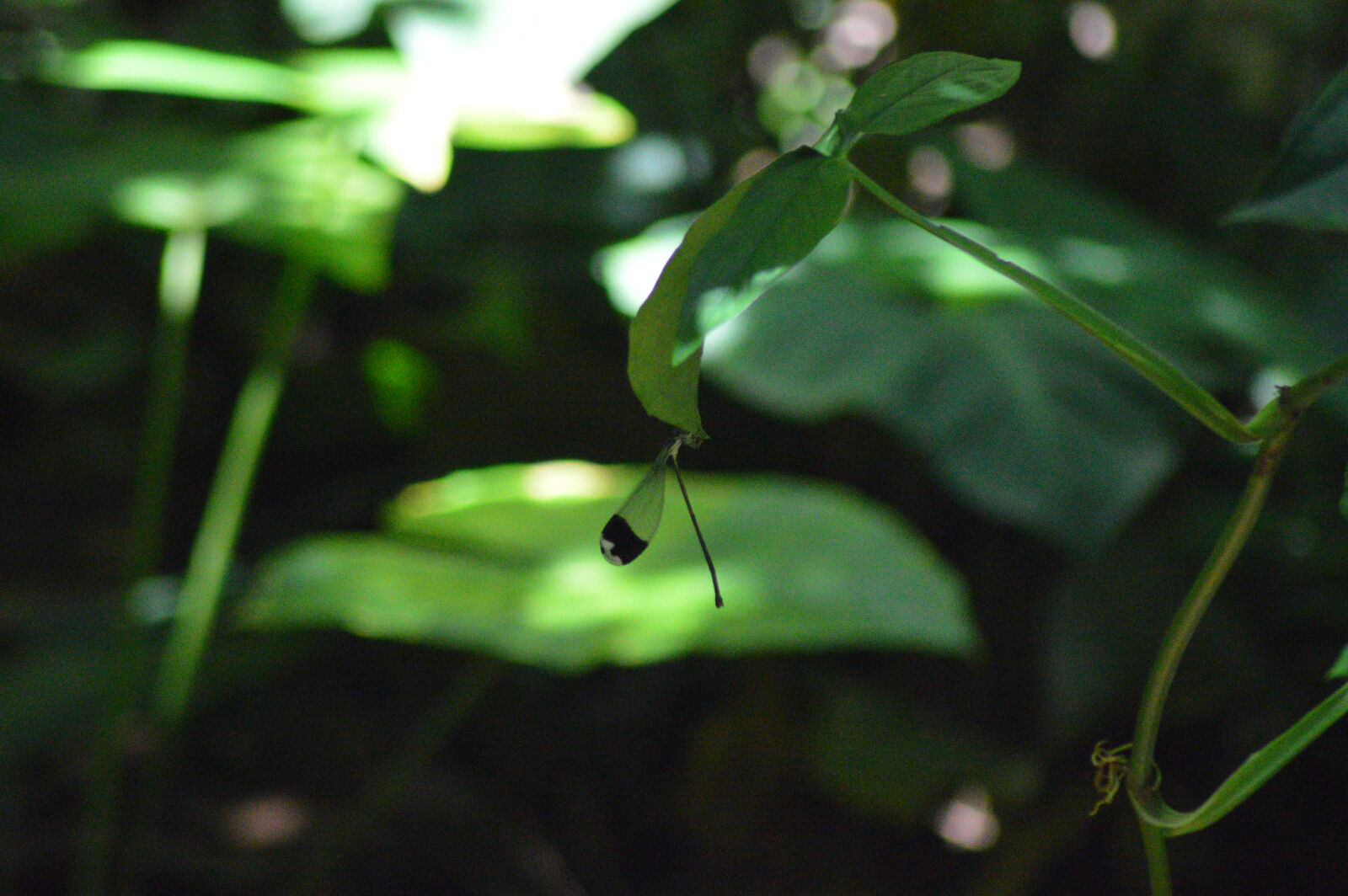 Nikon D3200 sample photo