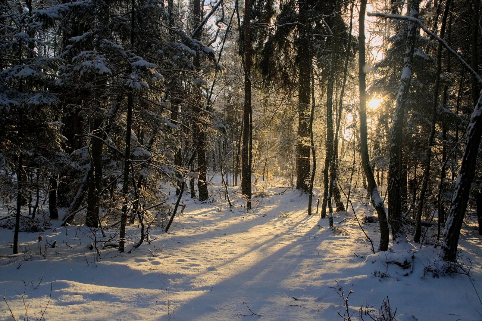 Nikon D3300 sample photo. Winter, snow, view photography