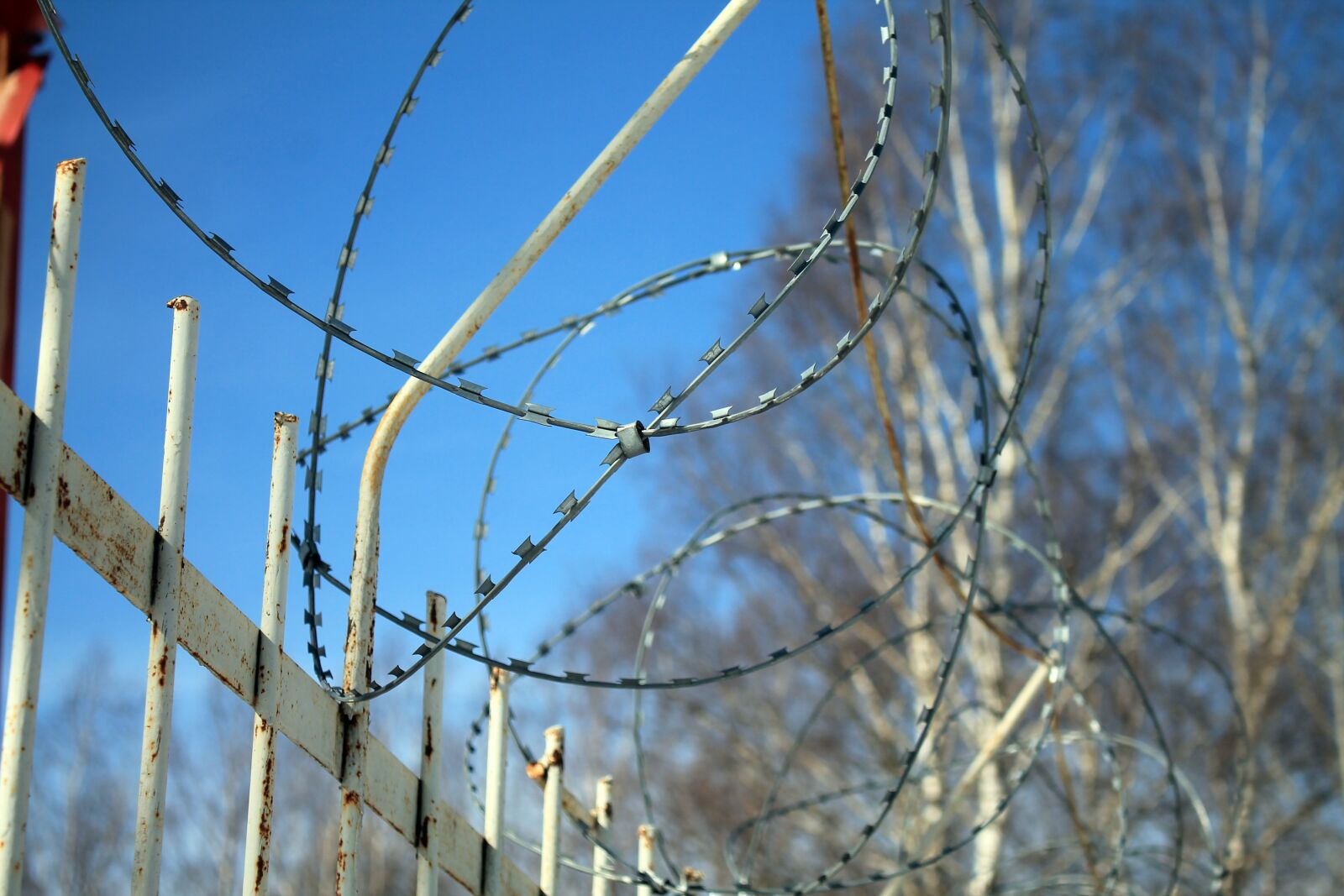 Canon EOS 1100D (EOS Rebel T3 / EOS Kiss X50) sample photo. High, voltage, supply photography