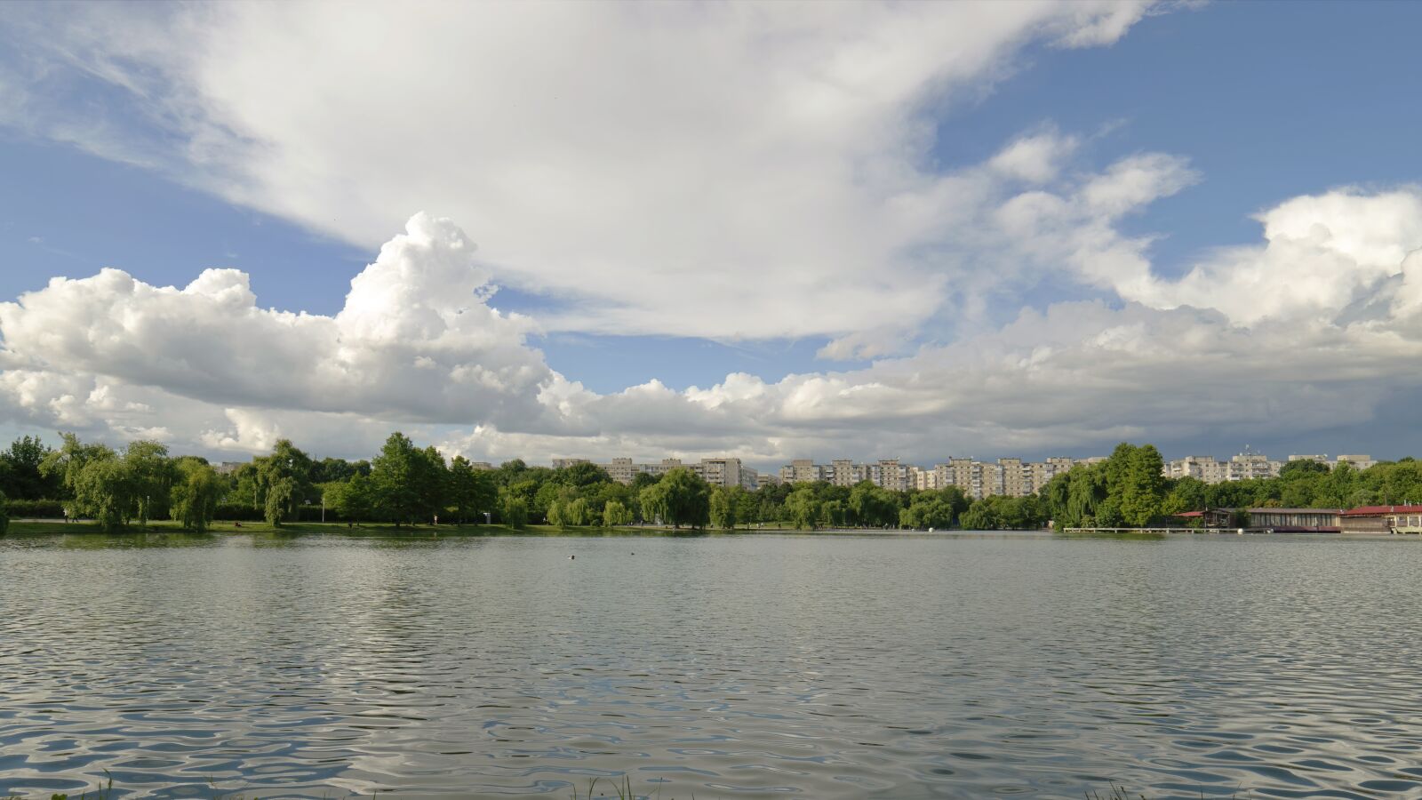 Nikon D5300 sample photo. Landscape, nature, park photography
