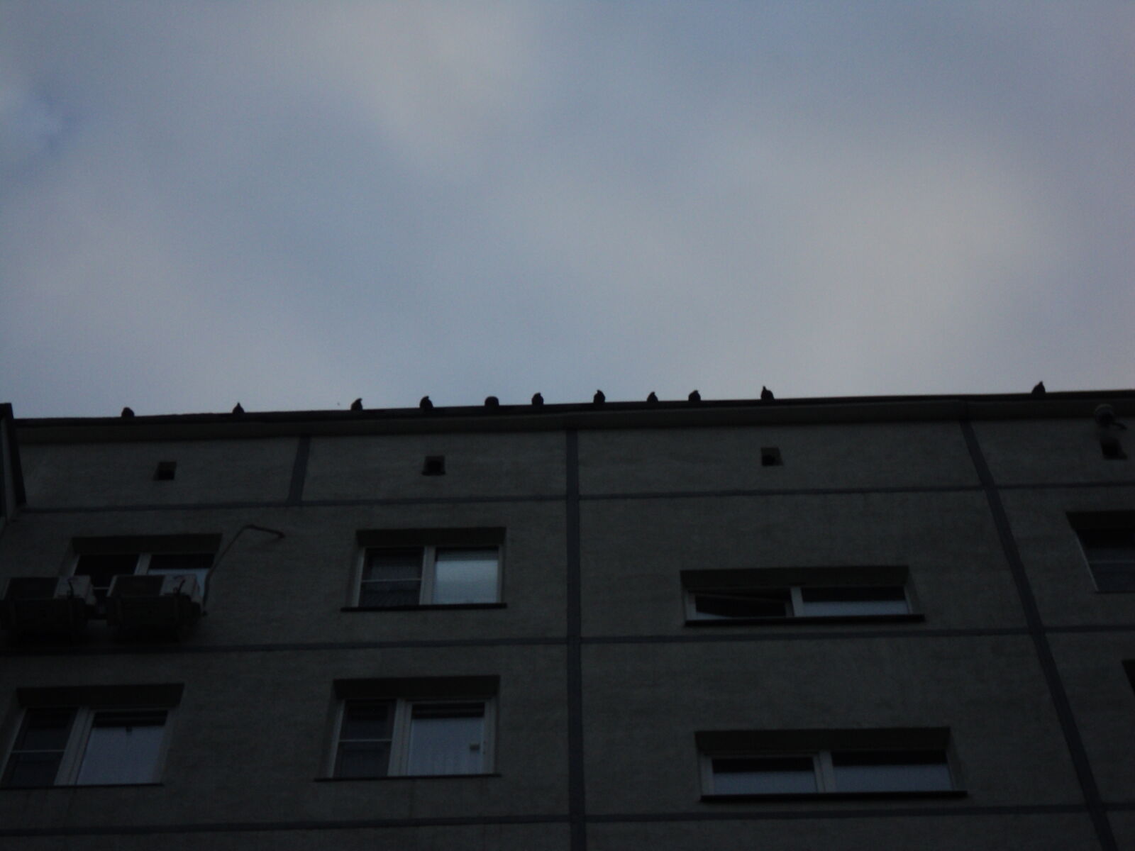 Sony DSC-S2100 sample photo