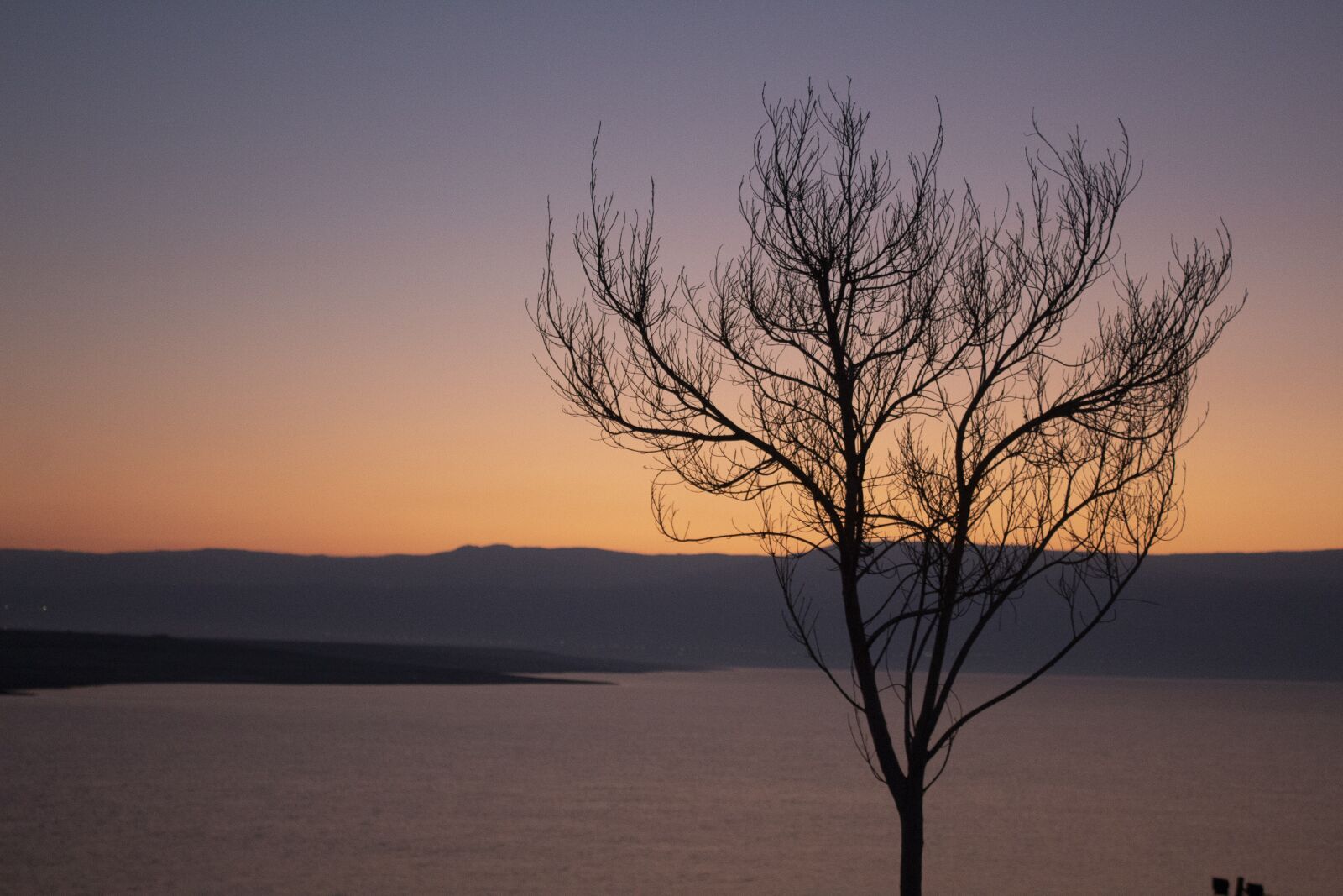 Canon EOS 4000D (EOS Rebel T100 / EOS 3000D) sample photo. Tree, sunset, water photography