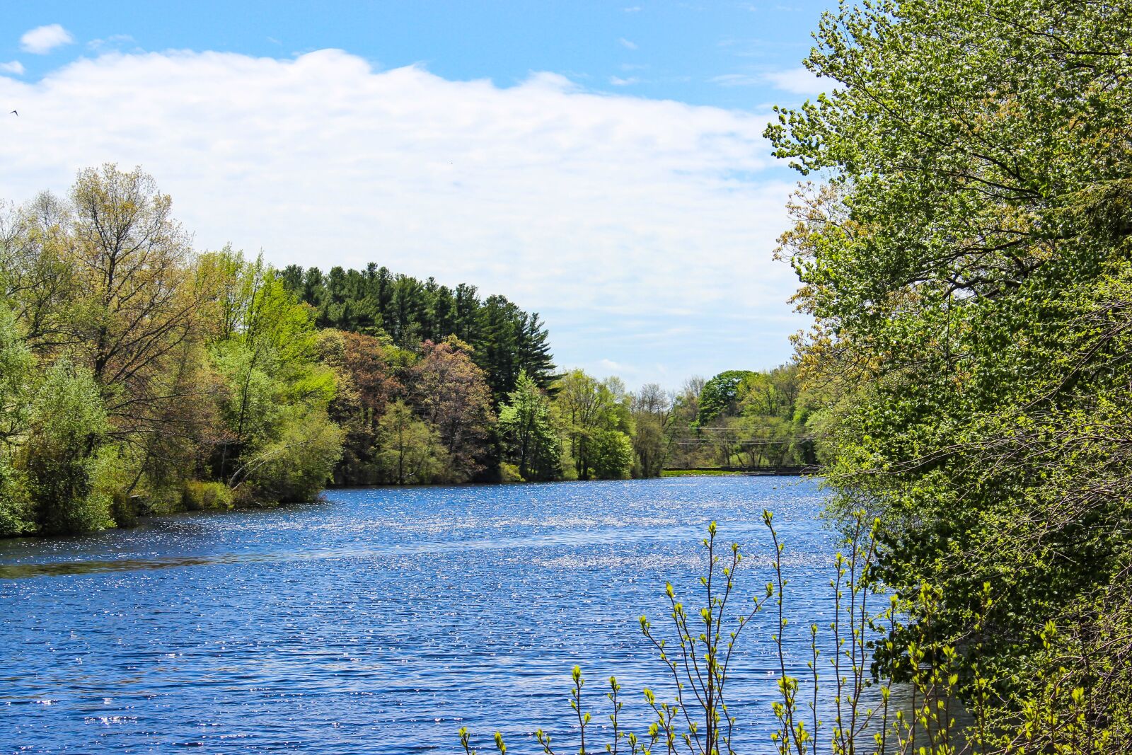 Canon EOS 600D (Rebel EOS T3i / EOS Kiss X5) sample photo. Trees, sky, river photography