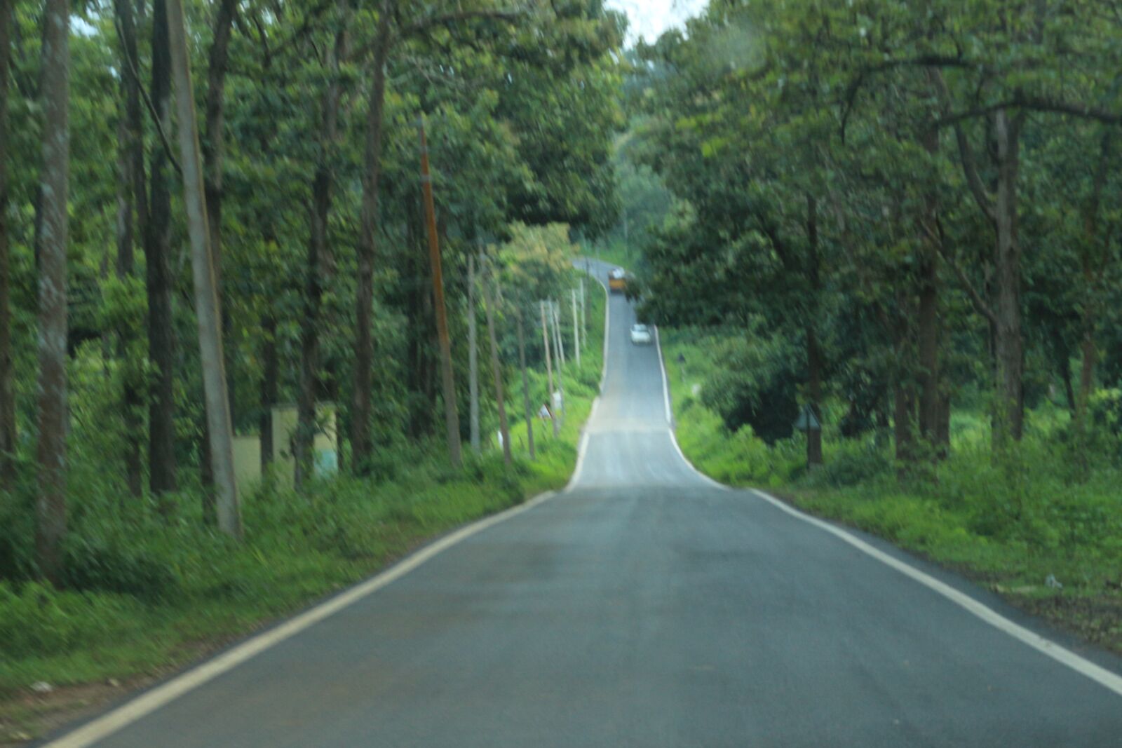 Canon EOS 700D (EOS Rebel T5i / EOS Kiss X7i) sample photo. Road, forest, path photography