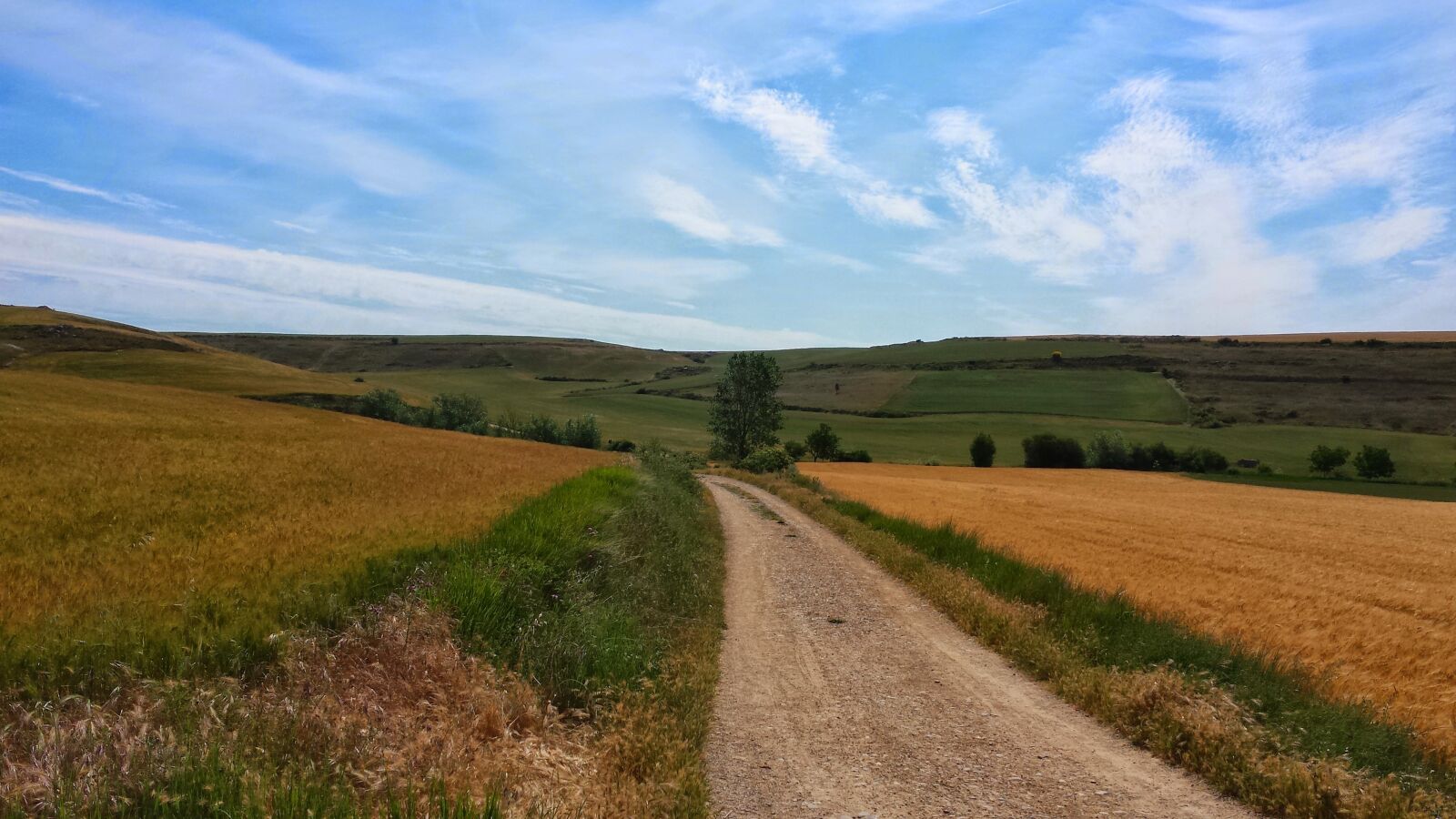 Samsung Galaxy S4 sample photo. Make a pilgrimage, jakobsweg photography