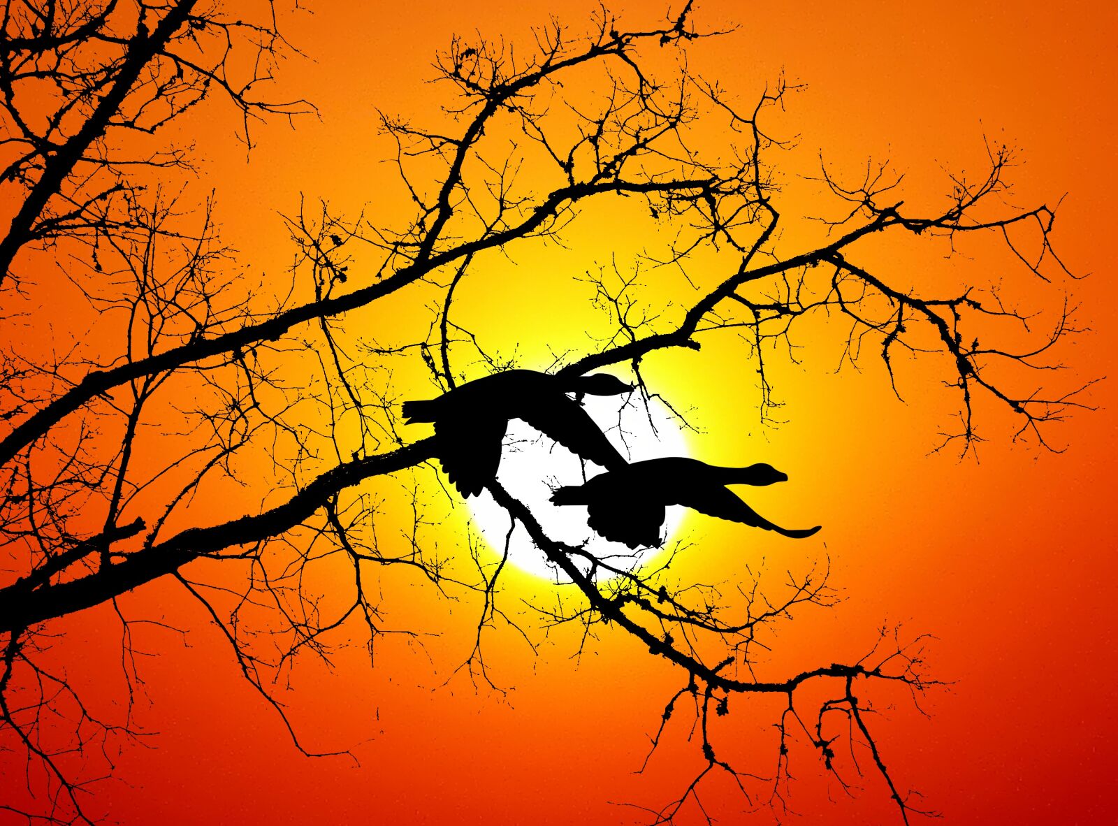 Panasonic Lumix DMC-FZ200 sample photo. Sunset, orange, sun photography
