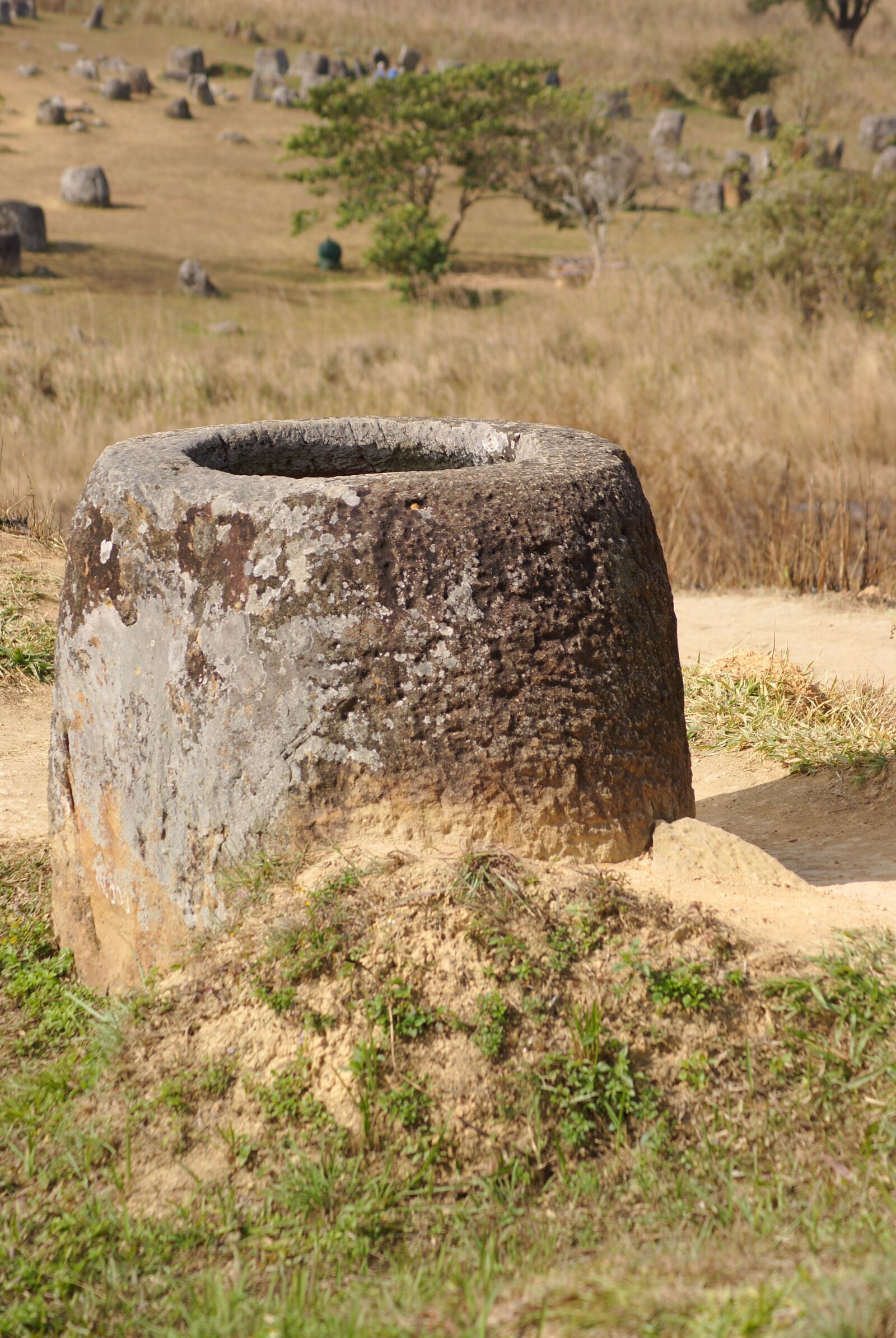 Sony Alpha DSLR-A230 sample photo. Plain of jars, ancient photography