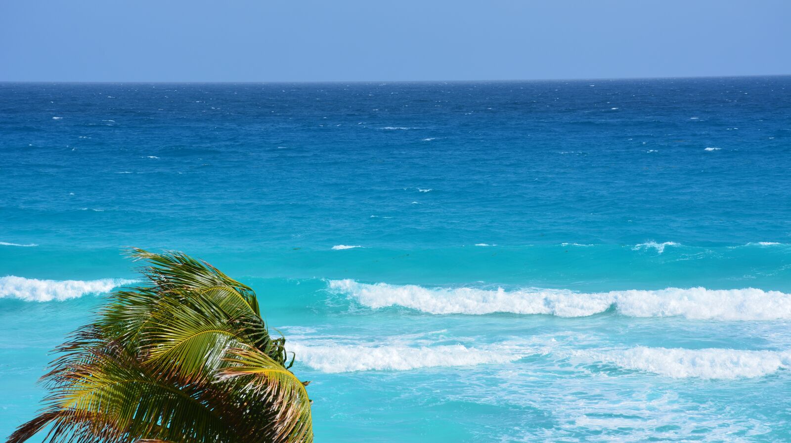 Nikon D7100 sample photo. Beach, palm tree, ocean photography