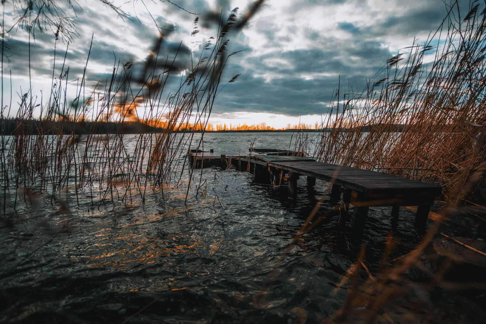 Canon EOS 6D + Canon EF 17-40mm F4L USM sample photo. Bridge, footbridge, nature photography