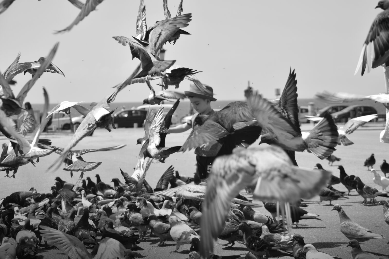 Nikon D5300 sample photo. Child, seagull, beach photography