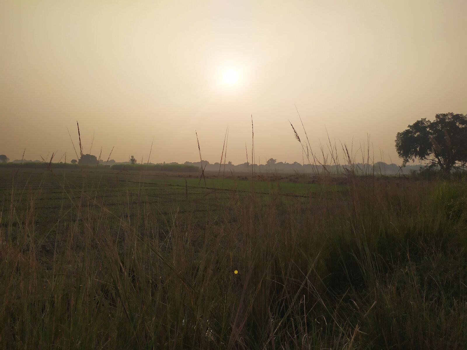 Xiaomi Redmi Note 7 sample photo. Village road, pathway, nature photography
