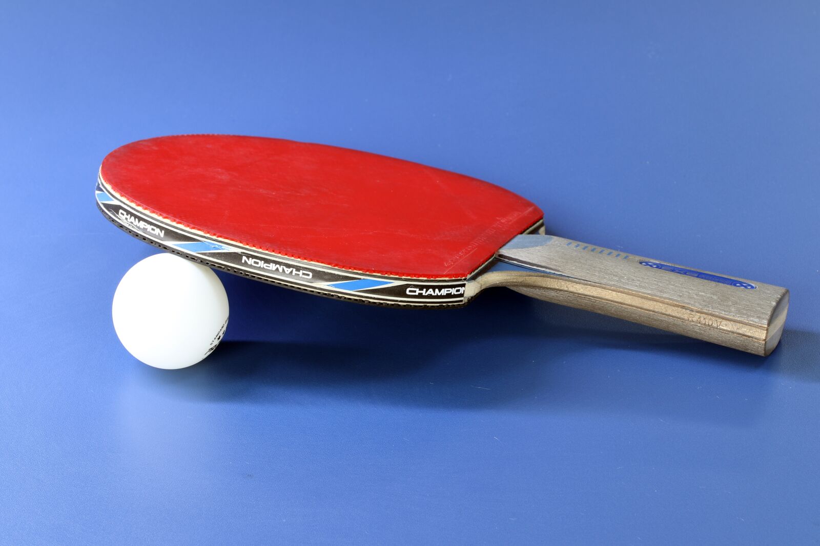 Canon EOS 800D (EOS Rebel T7i / EOS Kiss X9i) sample photo. Table tennis, sport, games photography