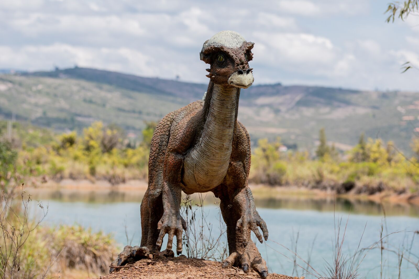 Nikon D5600 sample photo. Gondava, park, dinosaurs photography