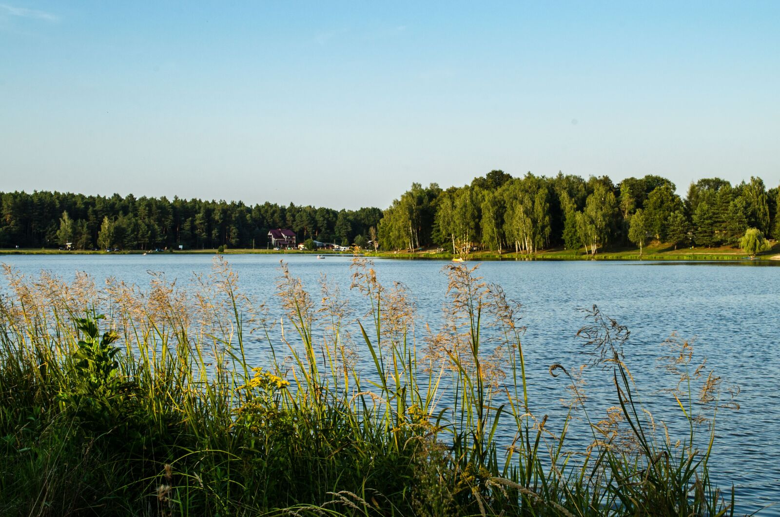 Nikon D5100 sample photo. Nature, lake, landscape photography