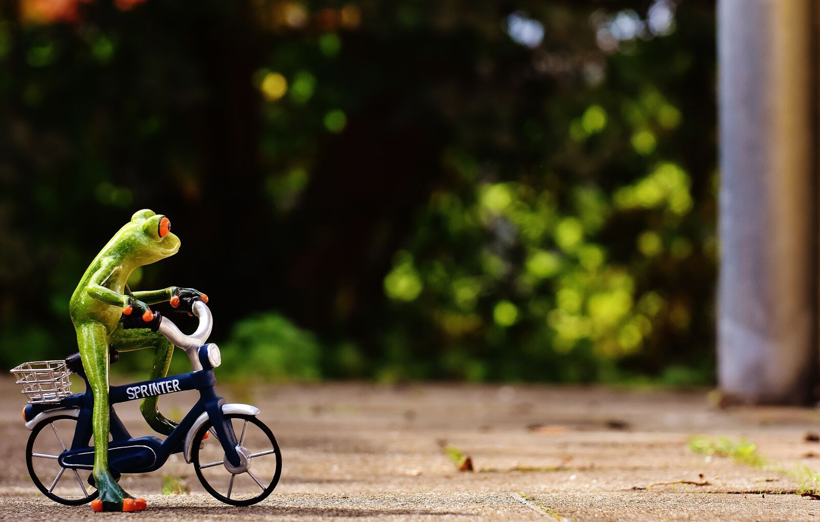 Nikon D7200 sample photo. Frog, bike, funny photography