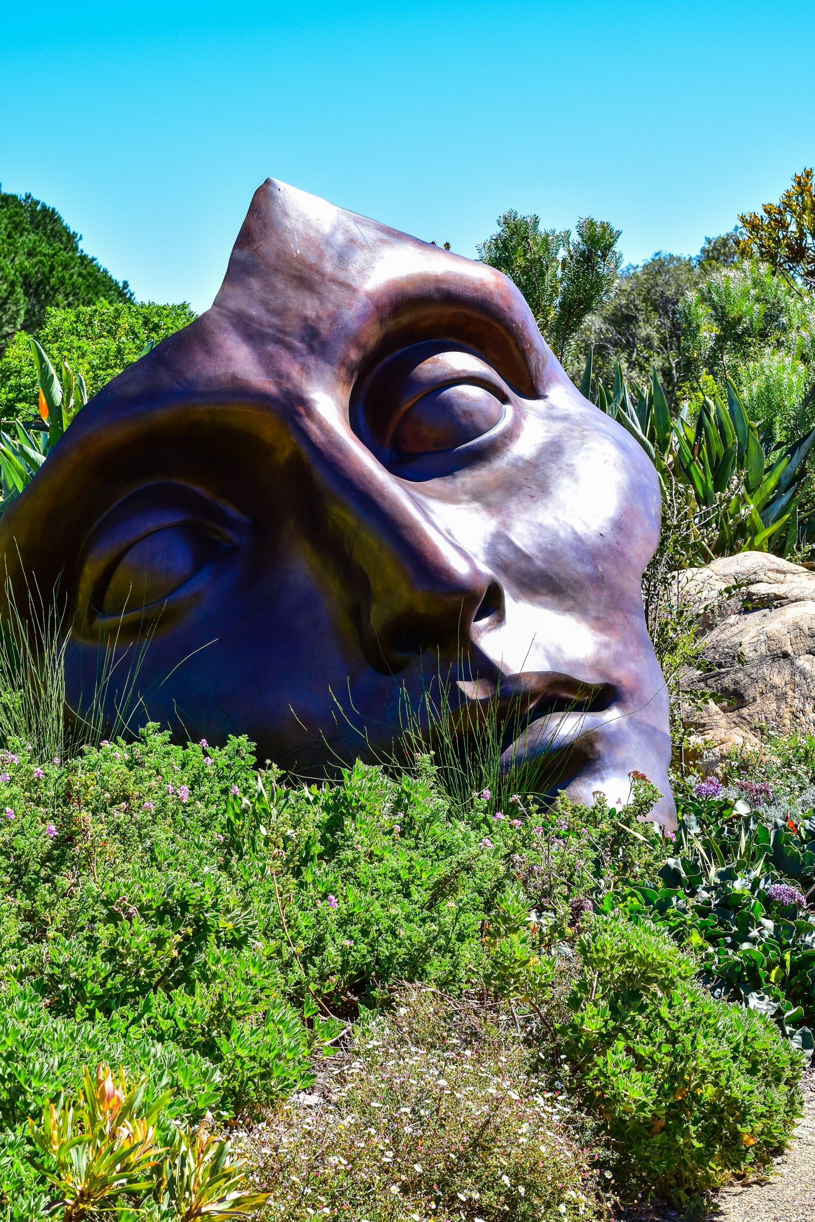 Nikon D5500 sample photo. Sculpture, nature, art photography