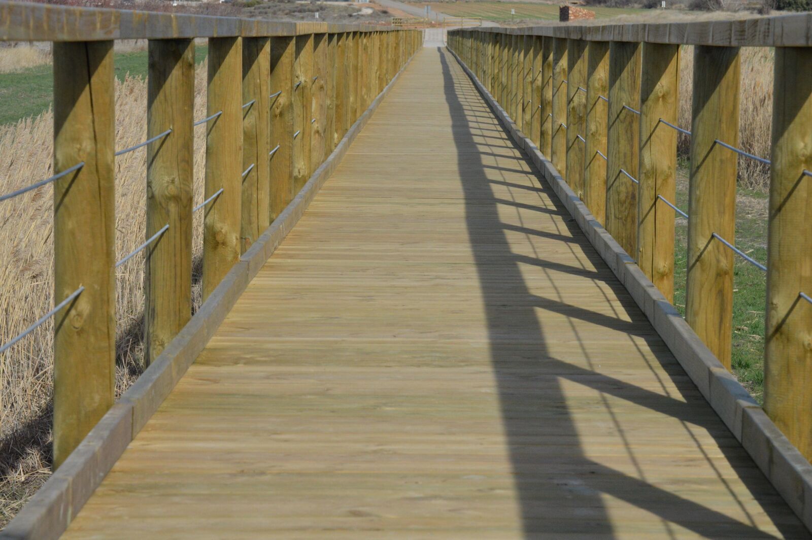Nikon D3200 sample photo. Perspective, path, infinity photography