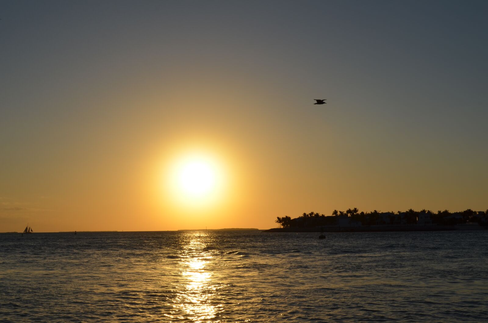 Nikon D5100 sample photo. Sunset, beach, horizon photography