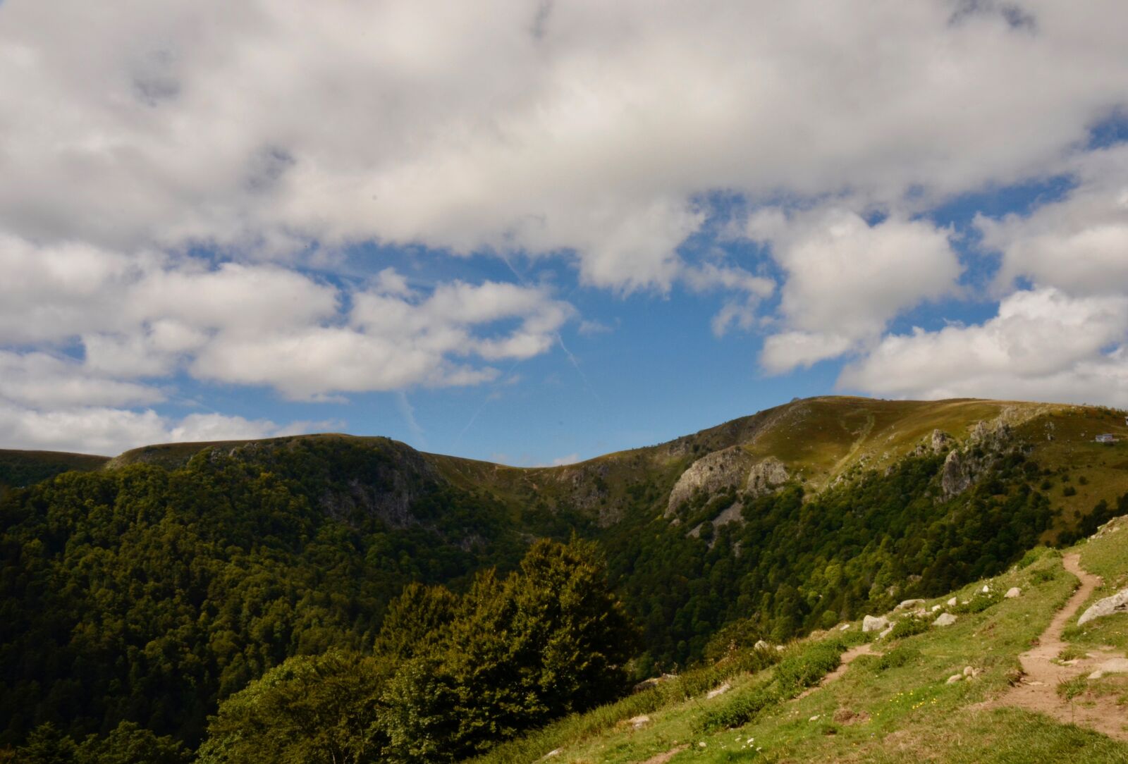 Nikon D5100 sample photo. Vosges, trail, path photography