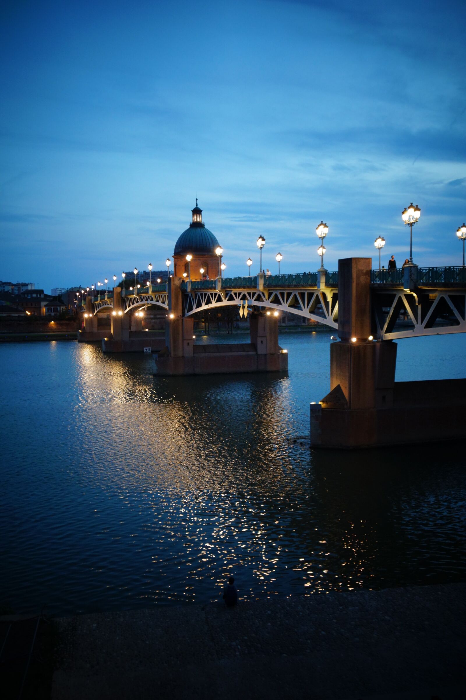 Sony Cyber-shot DSC-RX100 sample photo. Toulouse, by night, bridge photography