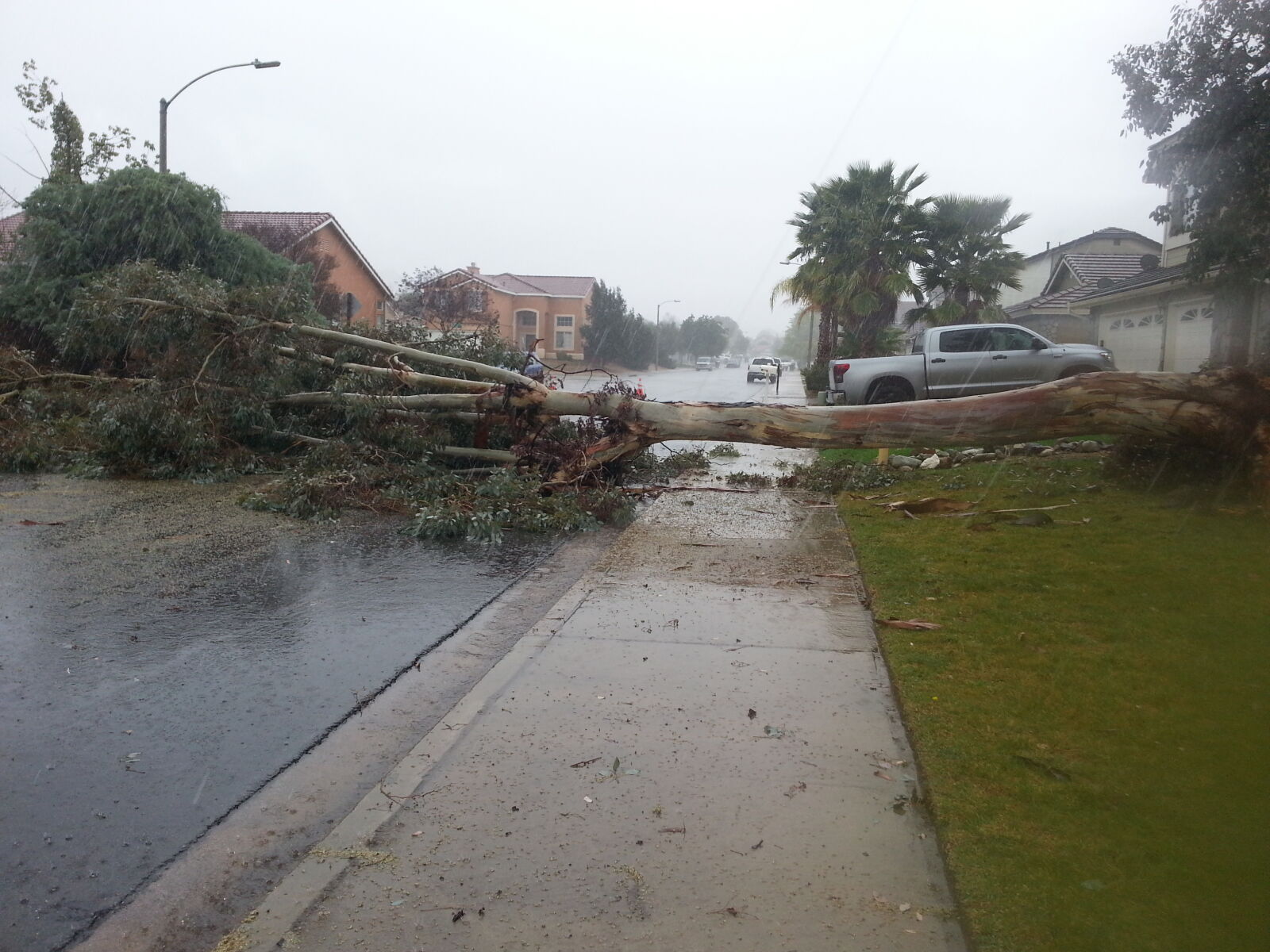 Samsung Galaxy Note2 sample photo. Fallen, trees, road, sidewalk photography