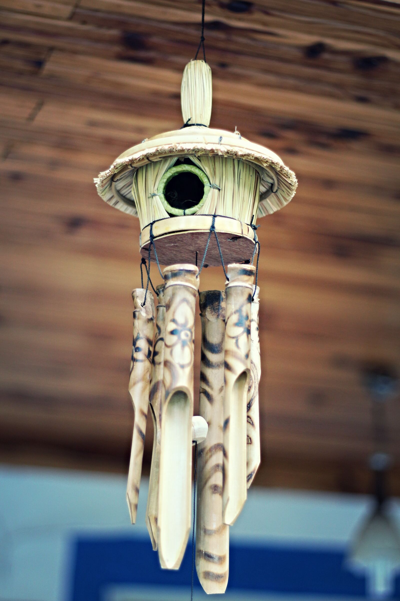 Canon EOS 650D (EOS Rebel T4i / EOS Kiss X6i) + Canon EF 50mm F1.8 II sample photo. Bird's nest, socket, bird photography