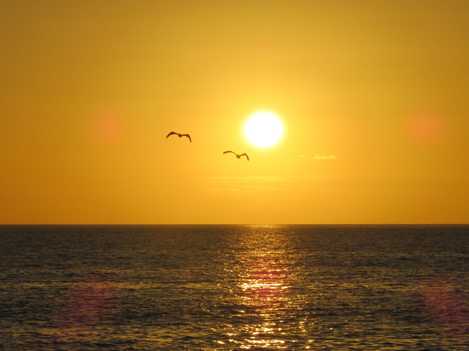 Canon PowerShot SX710 HS sample photo. Sunset, sun, abendstimmung photography