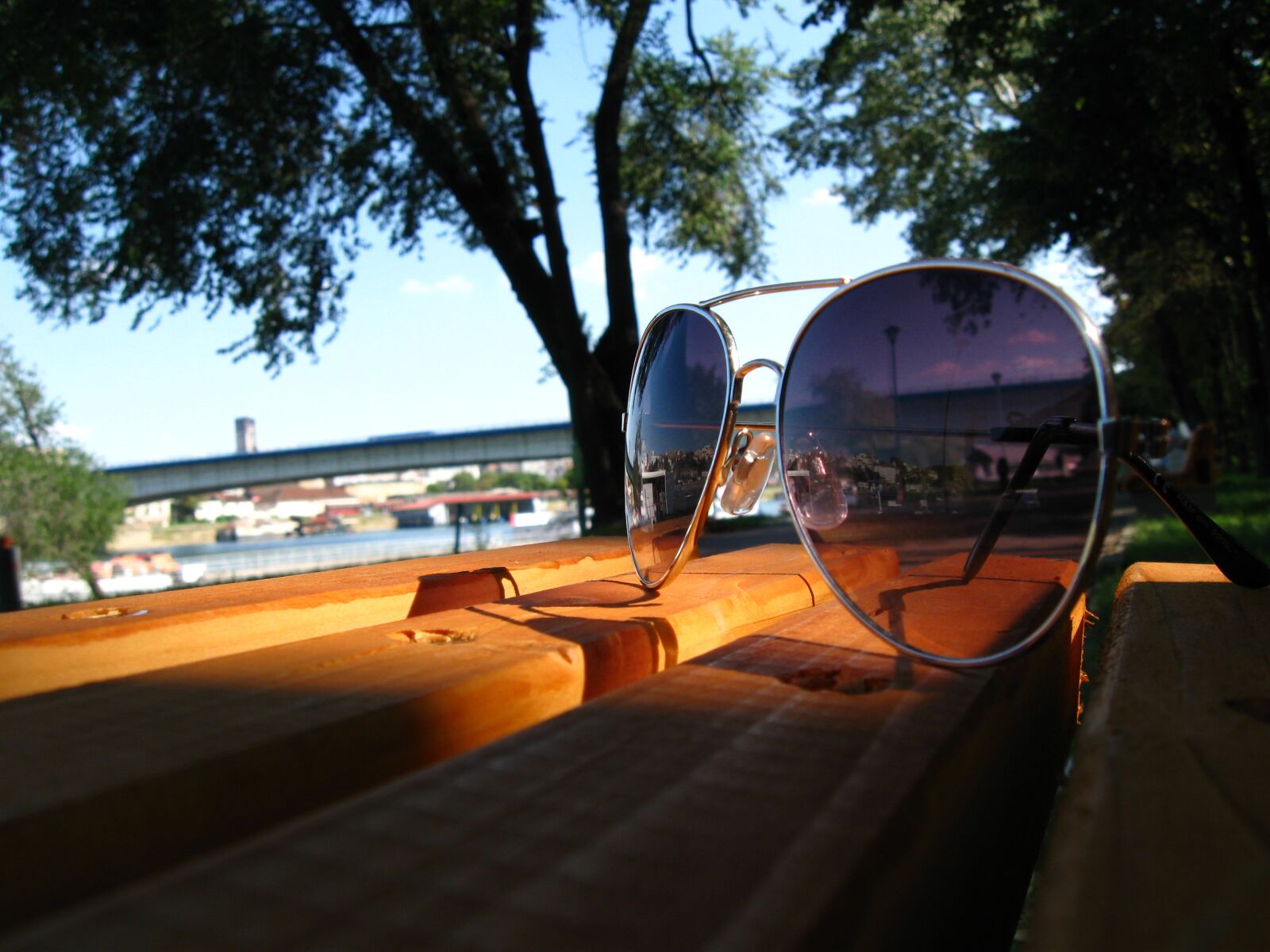 Canon PowerShot A590 IS sample photo. Sunny day, sun glasses photography