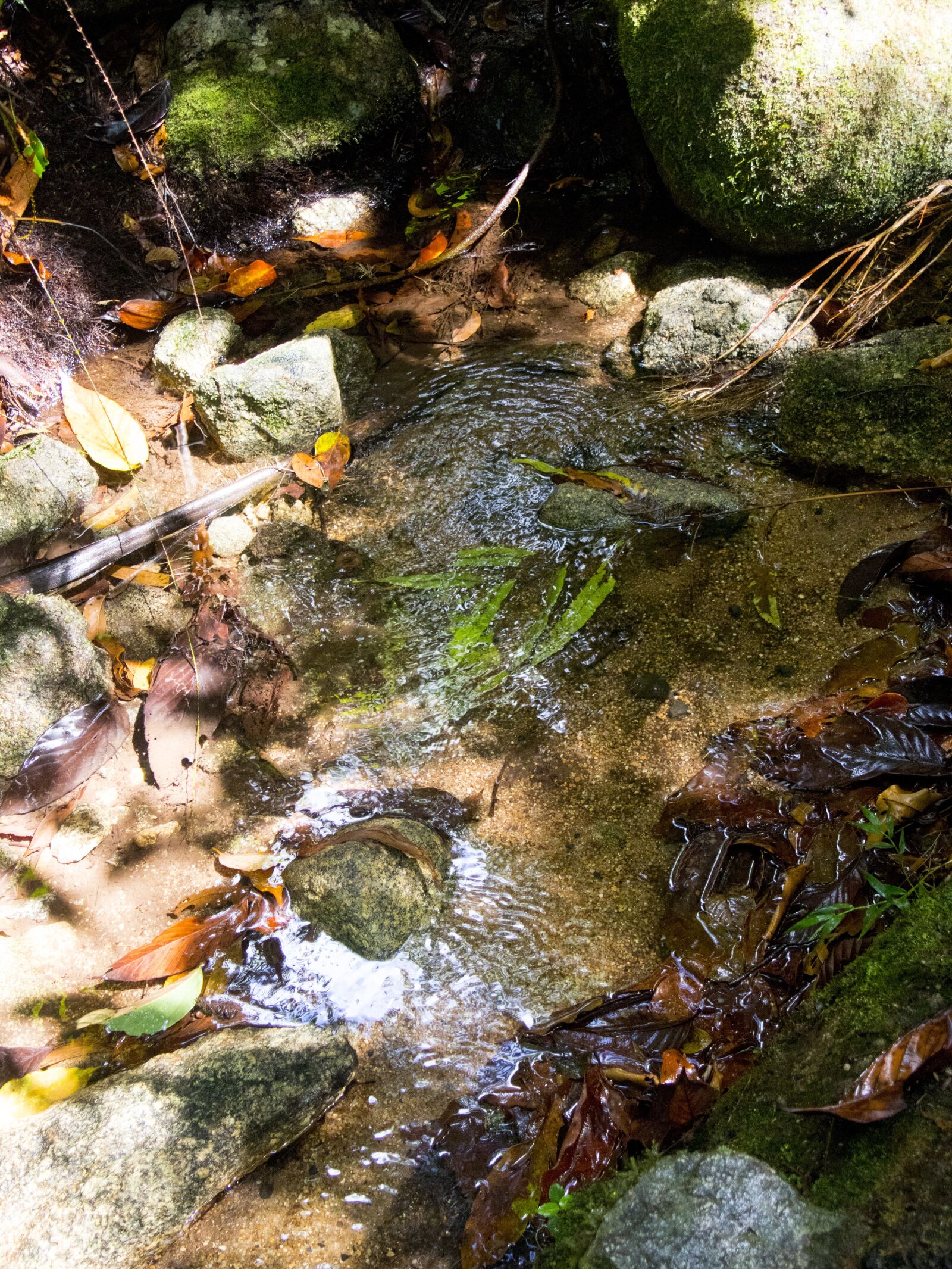 Canon EOS M6 sample photo. Quiet, serene, outdoors photography