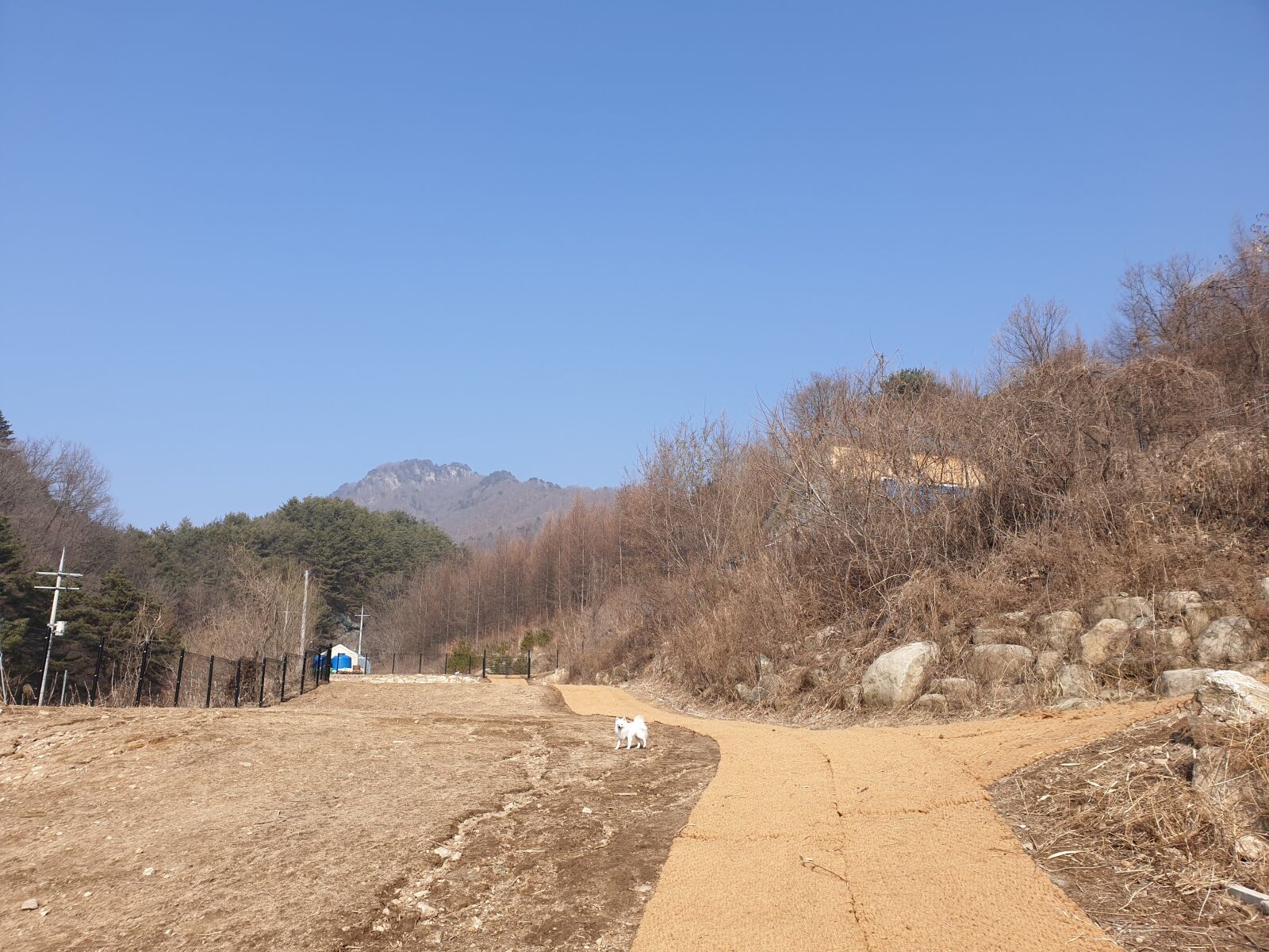 Samsung Galaxy S9+ sample photo. Mt, mountain, mount photography